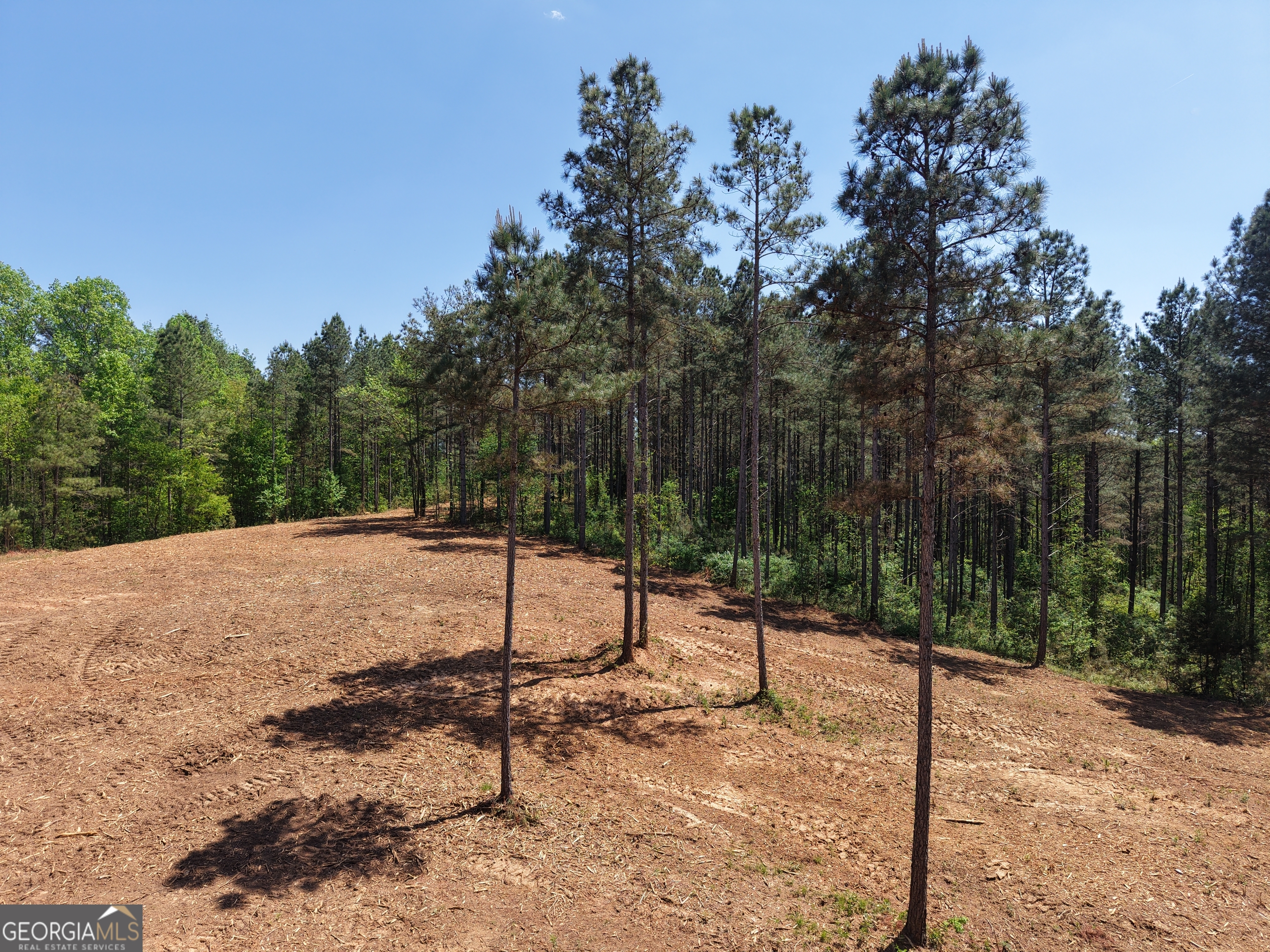 0 Ryo Mountain Road, Unit 9609 Fairmount, GA 30139 - Photo 11 of 87