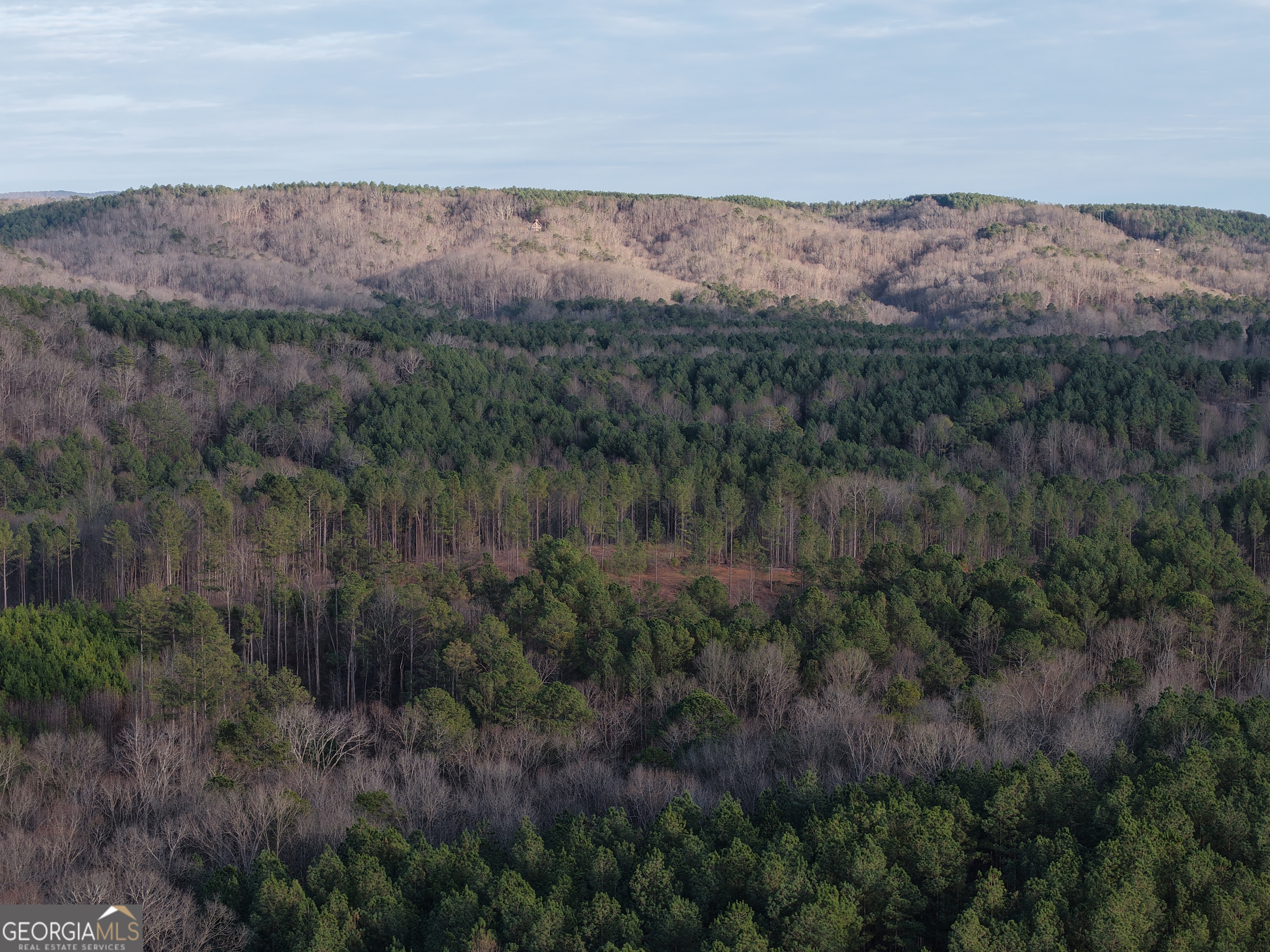 0 Ryo Mountain Road, Unit 9609 Fairmount, GA 30139 - Photo 12 of 33 a view of a forest with mountains in the background