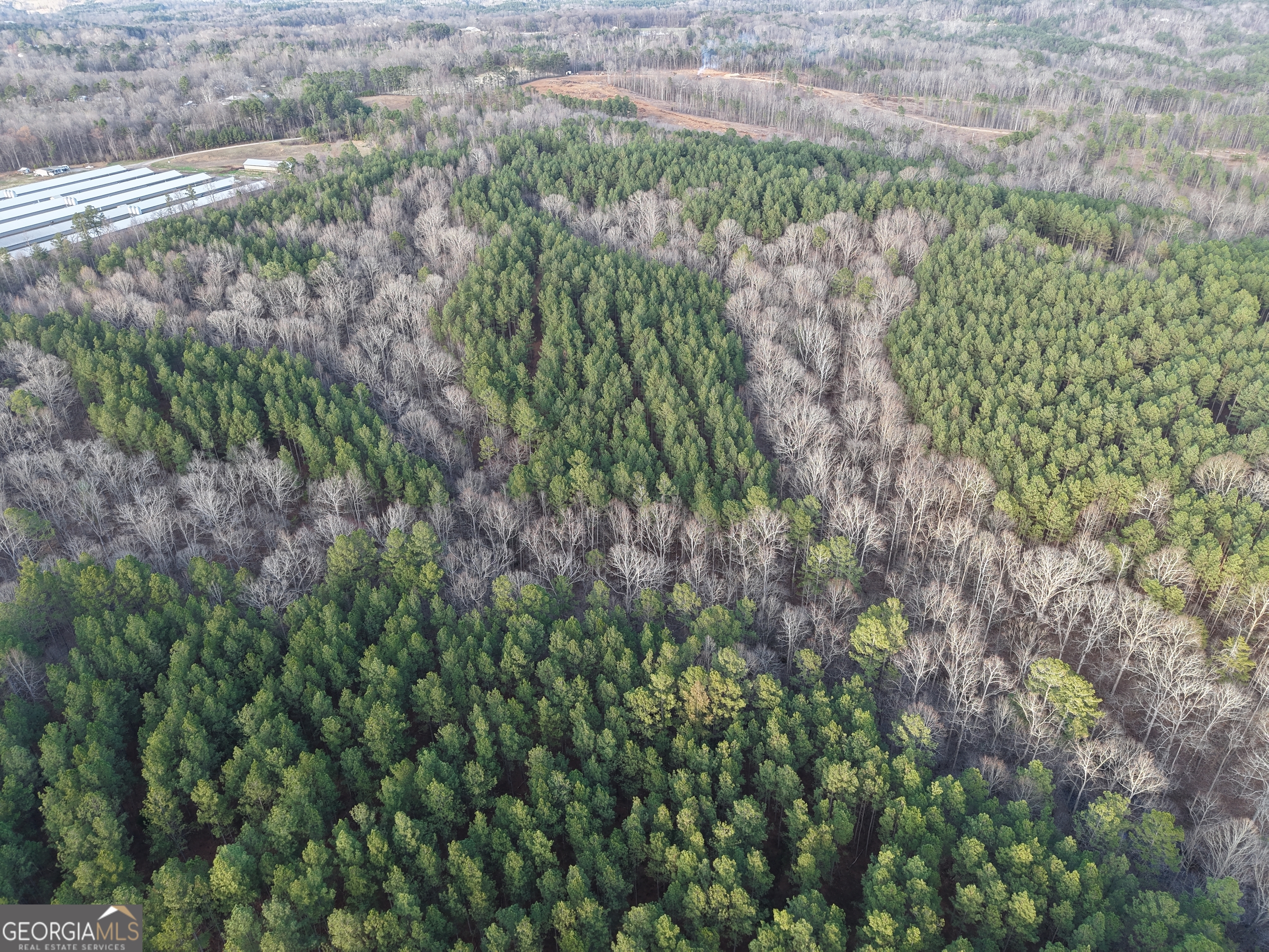 0 Ryo Mountain Road, Unit 9609 Fairmount, GA 30139 - Photo 13 of 33 a view of a garden with a plant