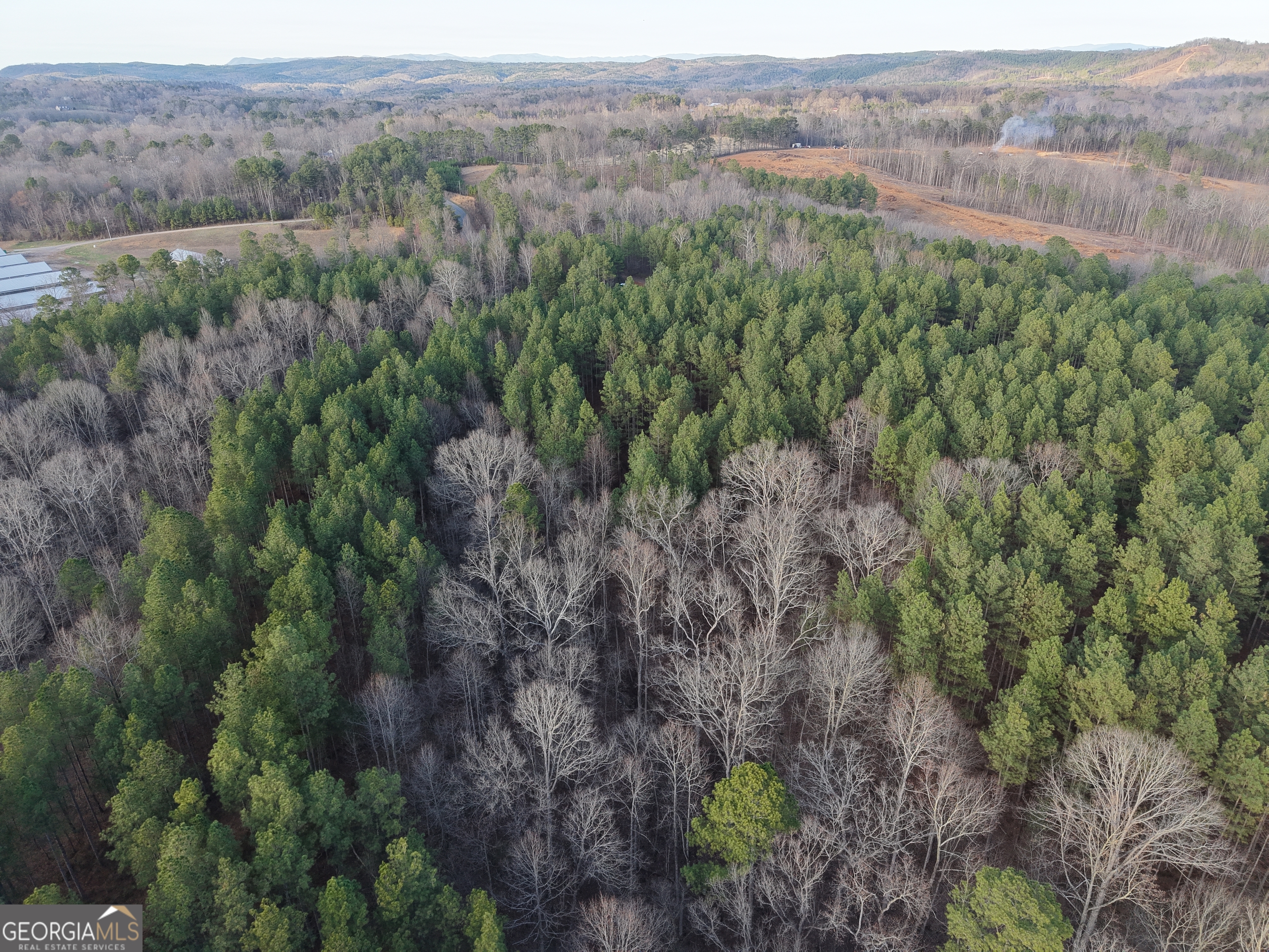0 Ryo Mountain Road, Unit 9609 Fairmount, GA 30139 - Photo 14 of 33 a view of a lush green forest with trees and some houses
