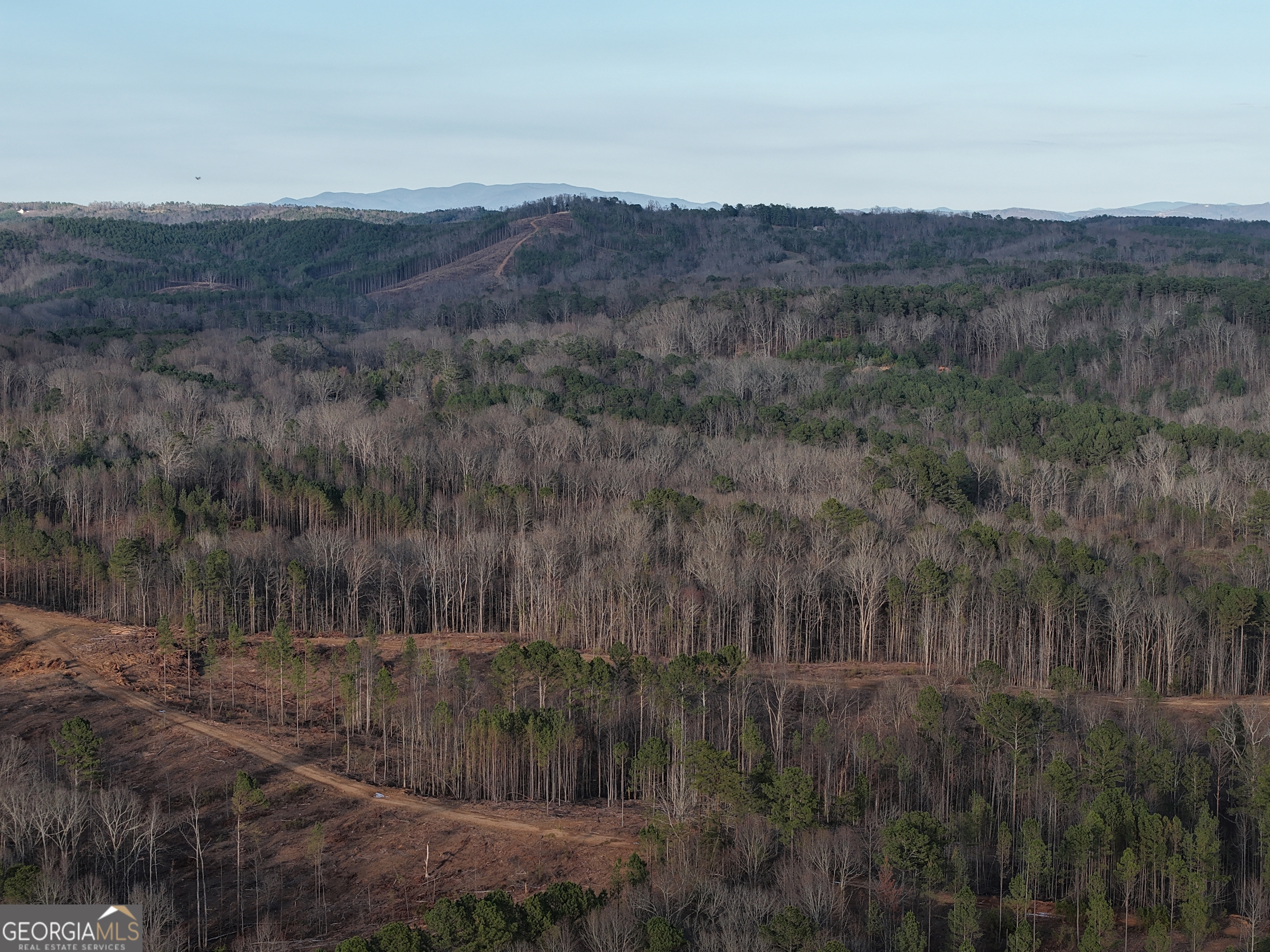 0 Ryo Mountain Road, Unit 9609 Fairmount, GA 30139 - Photo 15 of 33 a view of a lush green hillside and a mountain view