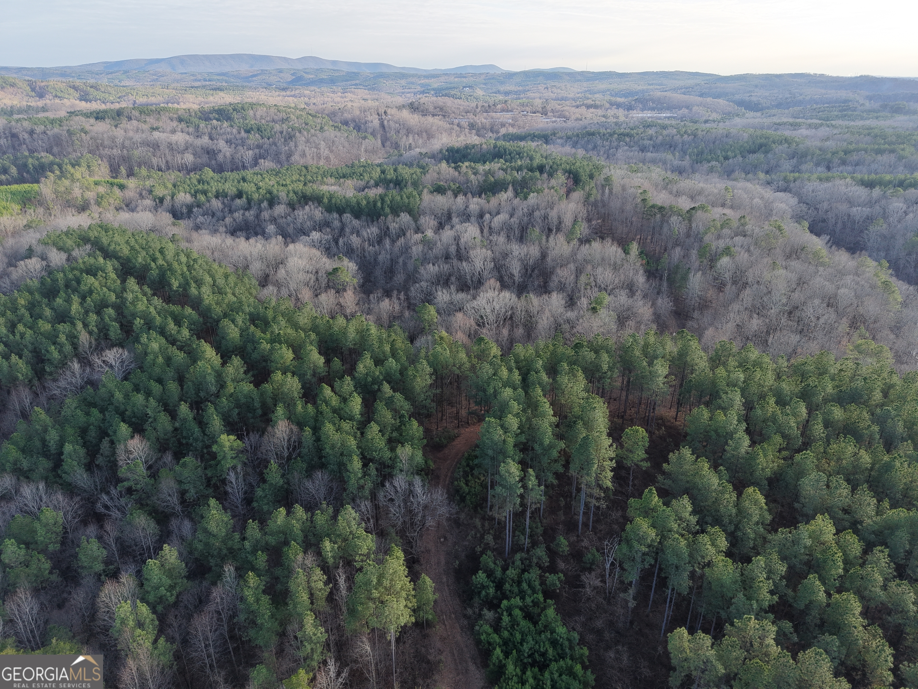 0 Ryo Mountain Road, Unit 9609 Fairmount, GA 30139 - Photo 16 of 33 a view of a lush green forest with trees and some houses