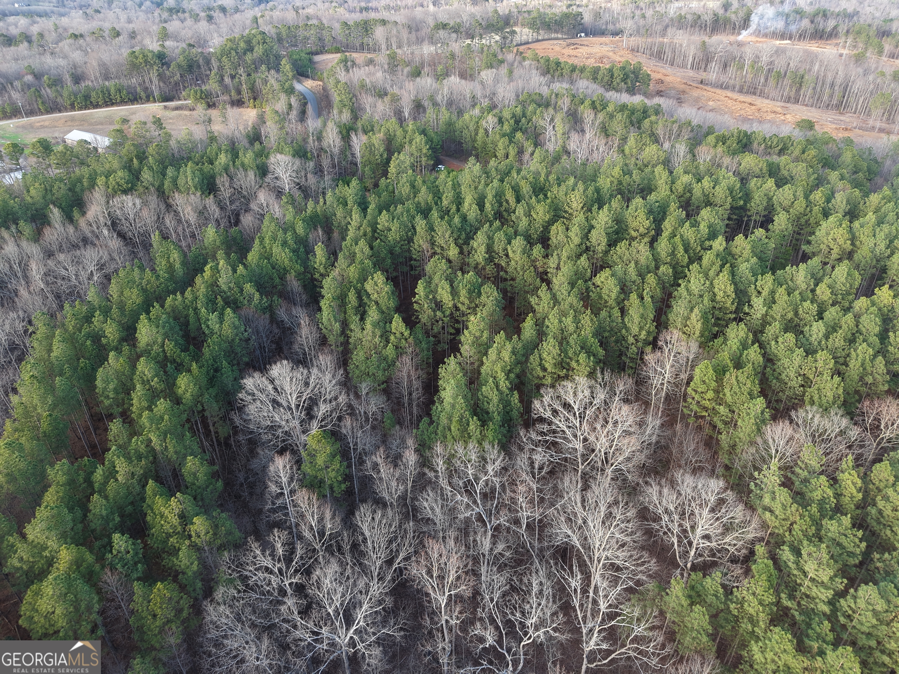0 Ryo Mountain Road, Unit 9609 Fairmount, GA 30139 - Photo 17 of 33 a view of a forest with a tree