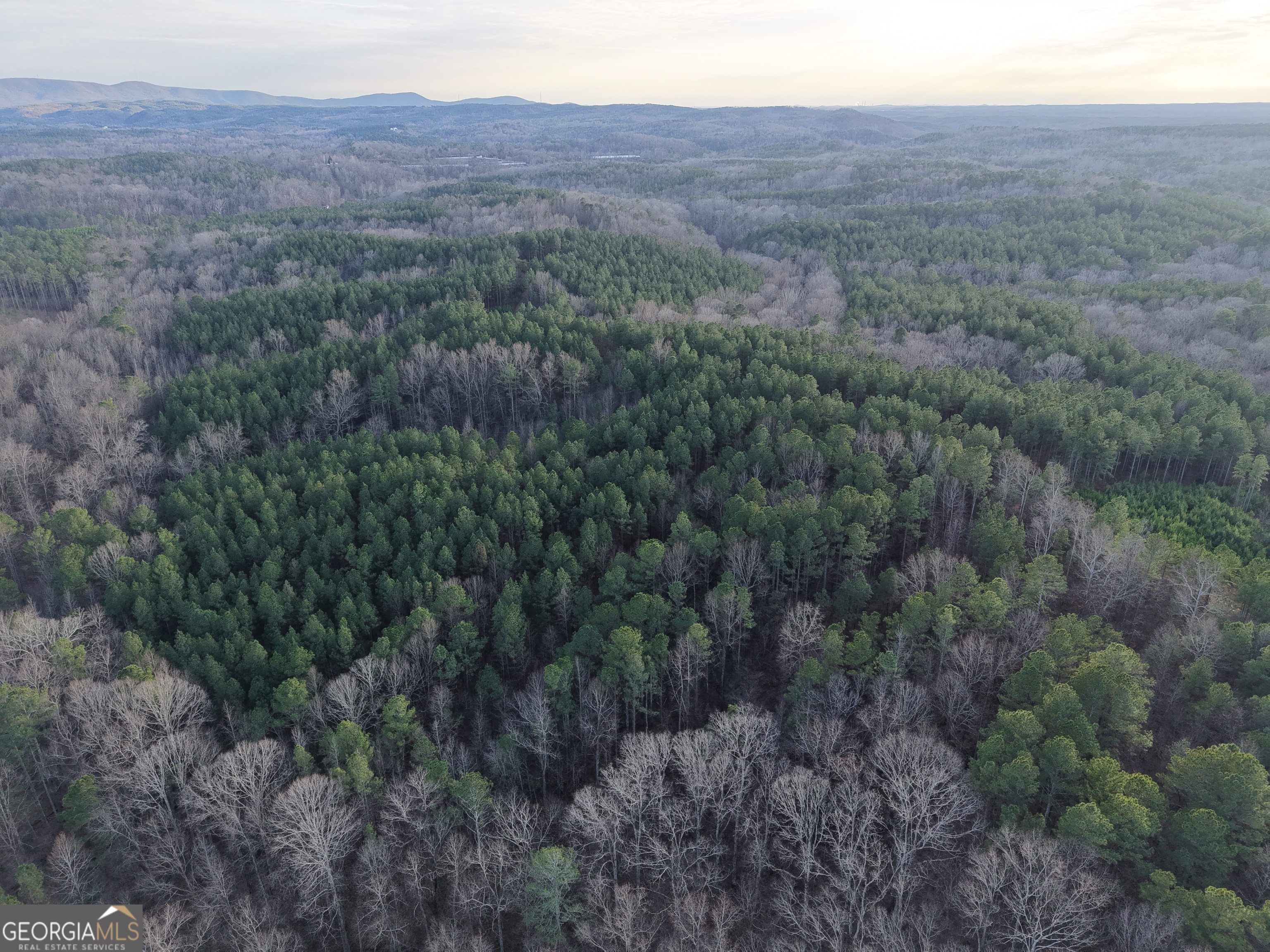 0 Ryo Mountain Road, Unit 9609 Fairmount, GA 30139 - Photo 18 of 33 a view of a lush green forest with a house