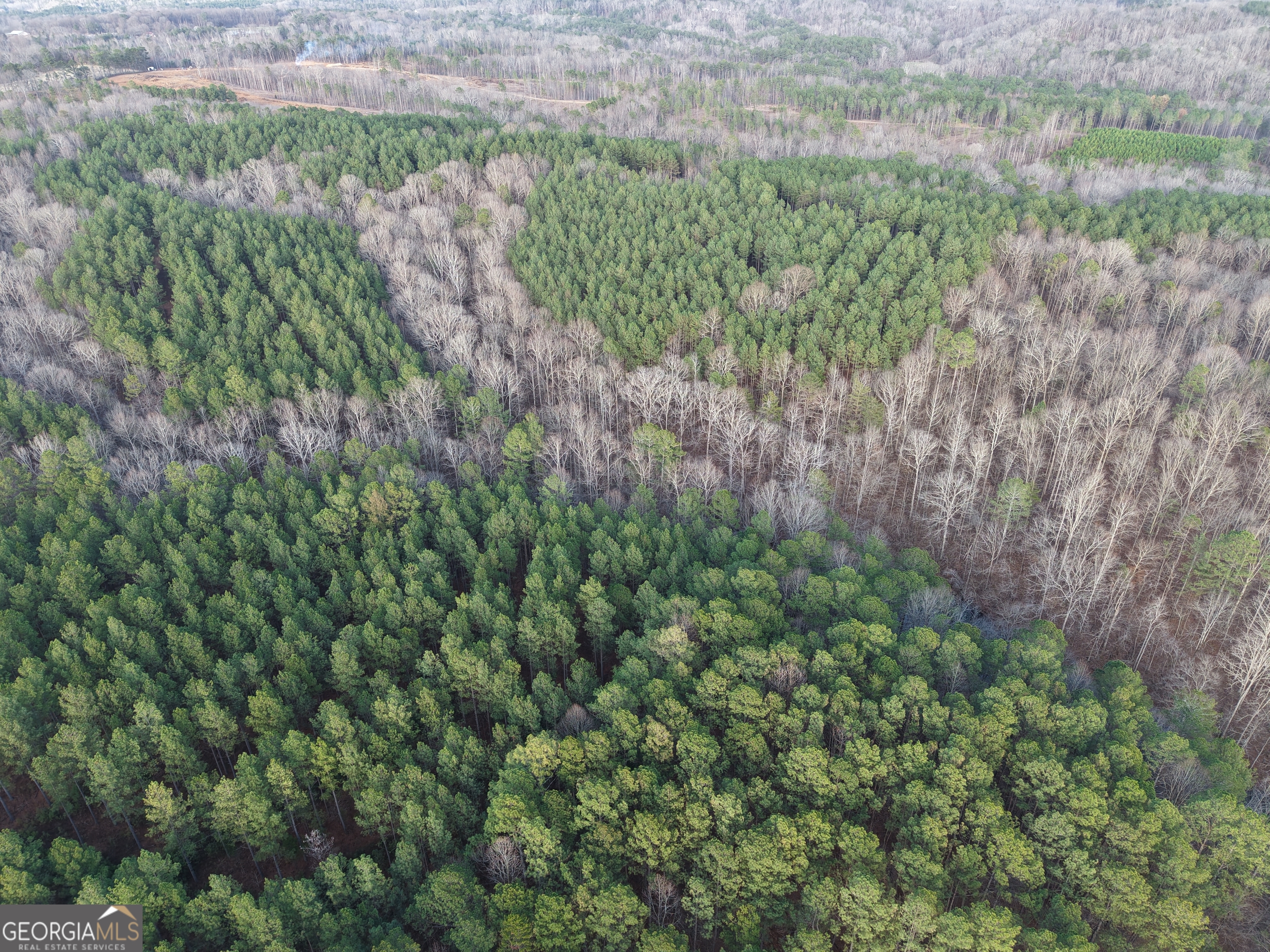 0 Ryo Mountain Road, Unit 9609 Fairmount, GA 30139 - Photo 20 of 33 a view of a lush green forest with large trees