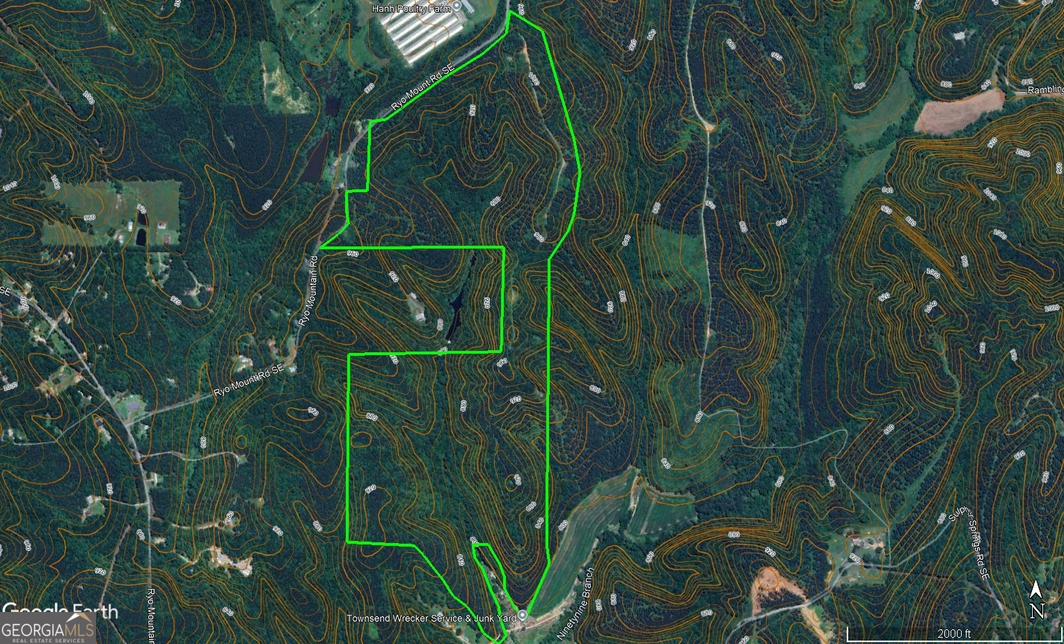 0 Ryo Mountain Road, Unit 9609 Fairmount, GA 30139 - Photo 2 of 33 view of a garden