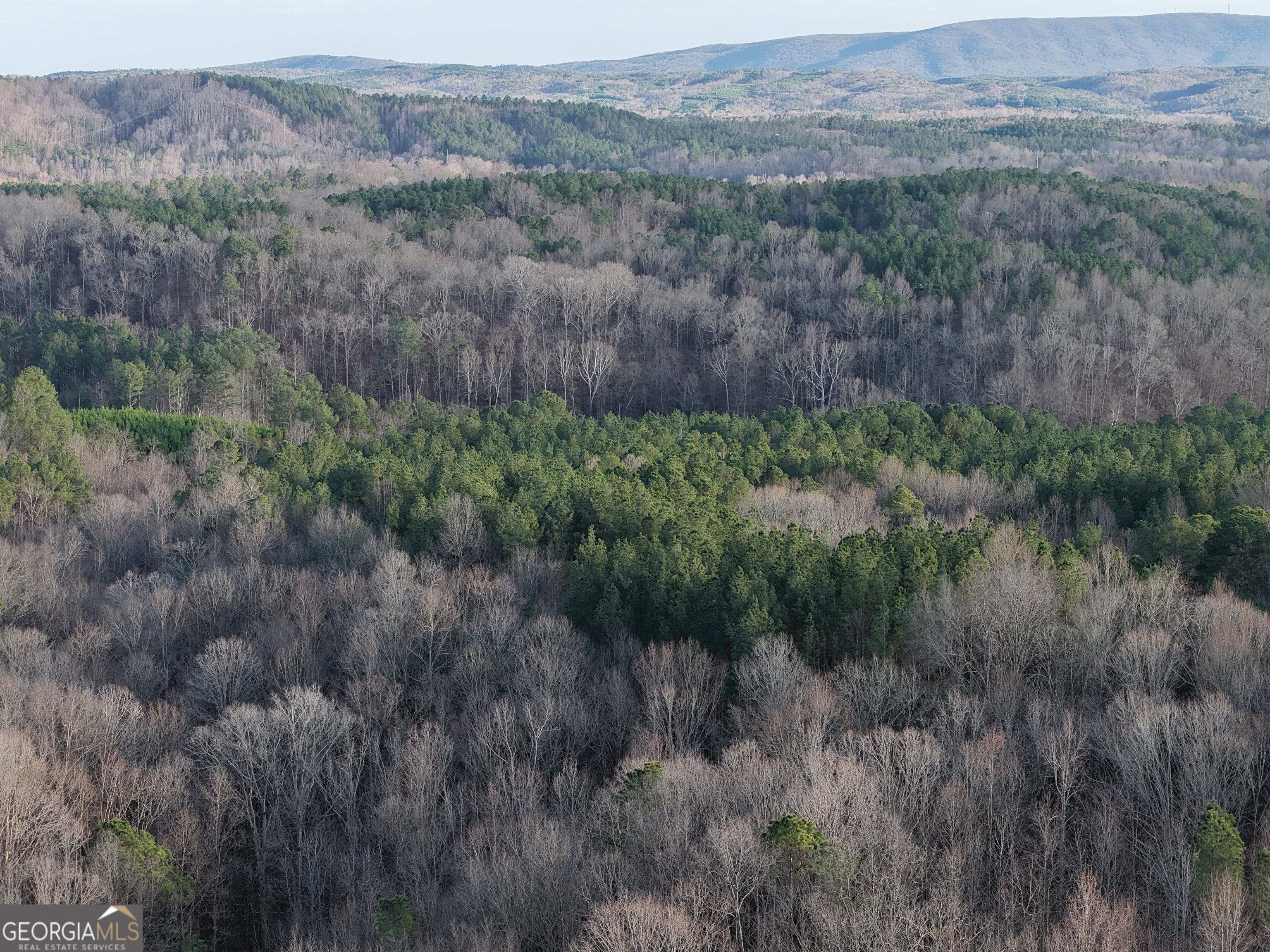 0 Ryo Mountain Road, Unit 9609 Fairmount, GA 30139 - Photo 21 of 33 a view of a lush green field