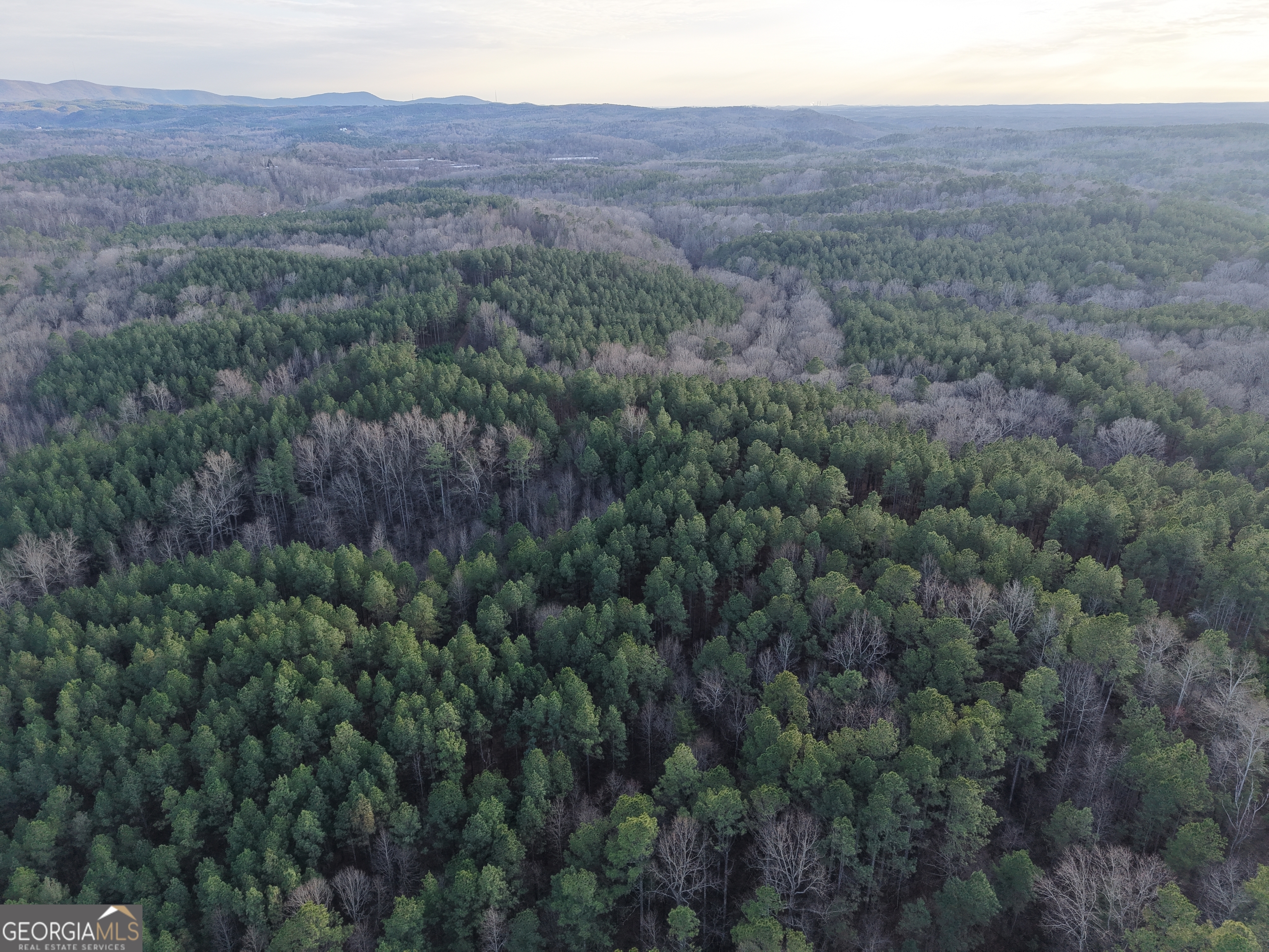 0 Ryo Mountain Road, Unit 9609 Fairmount, GA 30139 - Photo 23 of 33 a view of a large mountain with trees in the background