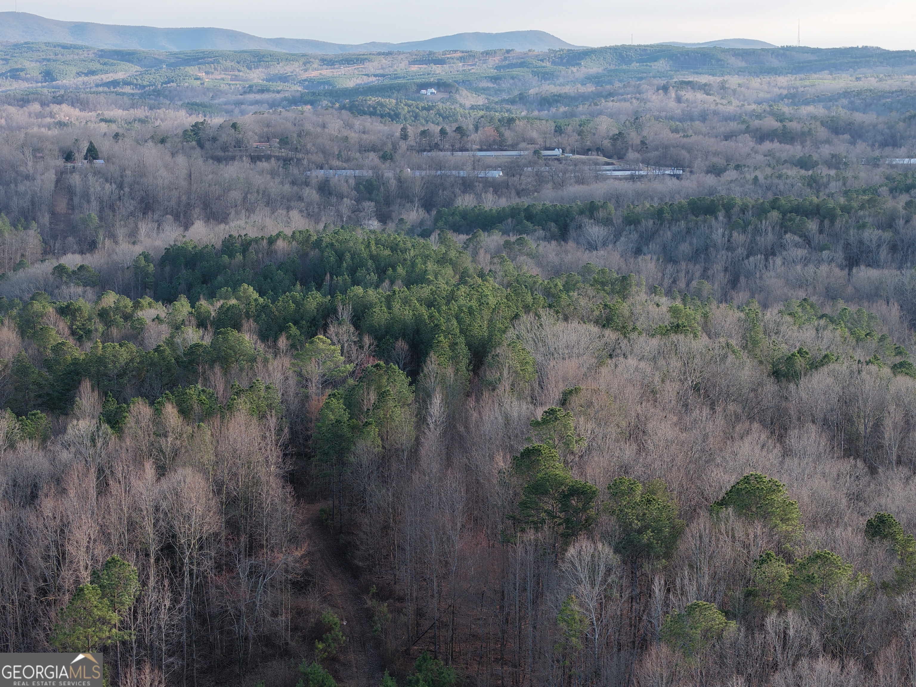 0 Ryo Mountain Road, Unit 9609 Fairmount, GA 30139 - Photo 25 of 33 a view of a lush green field