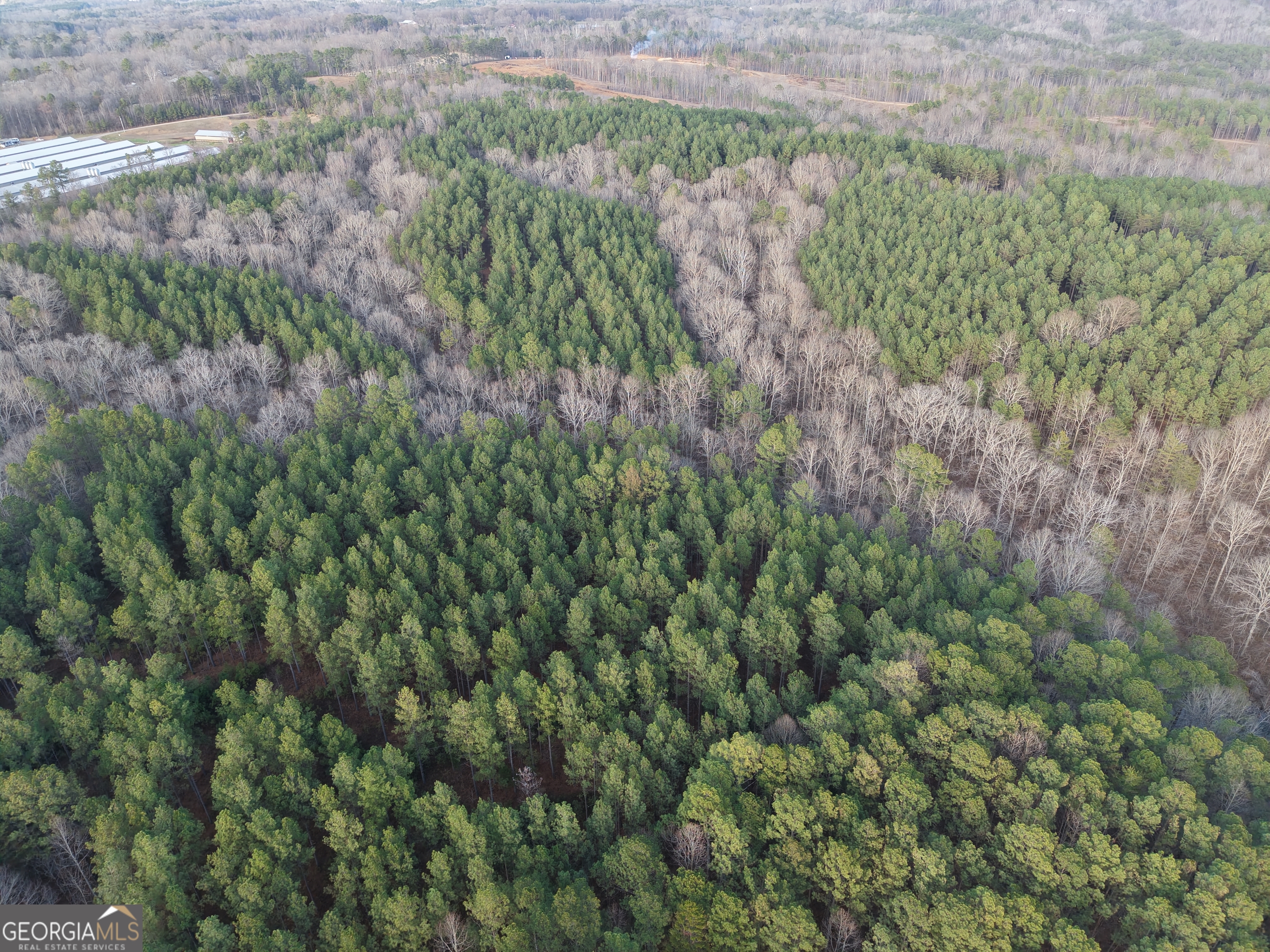 0 Ryo Mountain Road, Unit 9609 Fairmount, GA 30139 - Photo 26 of 33 a view of a forest with a tree