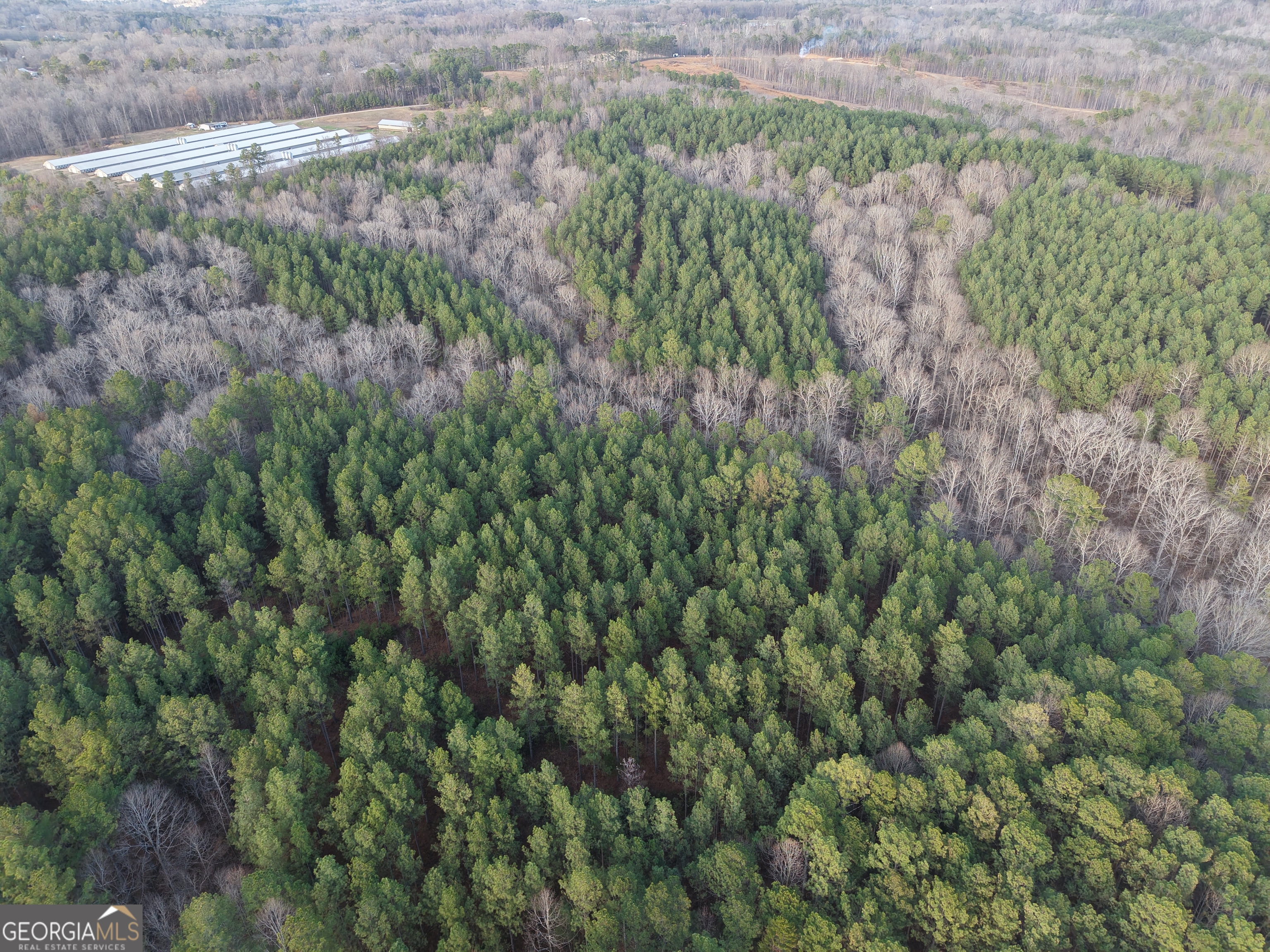 0 Ryo Mountain Road, Unit 9609 Fairmount, GA 30139 - Photo 27 of 33 a view of a forest with a lush green forest