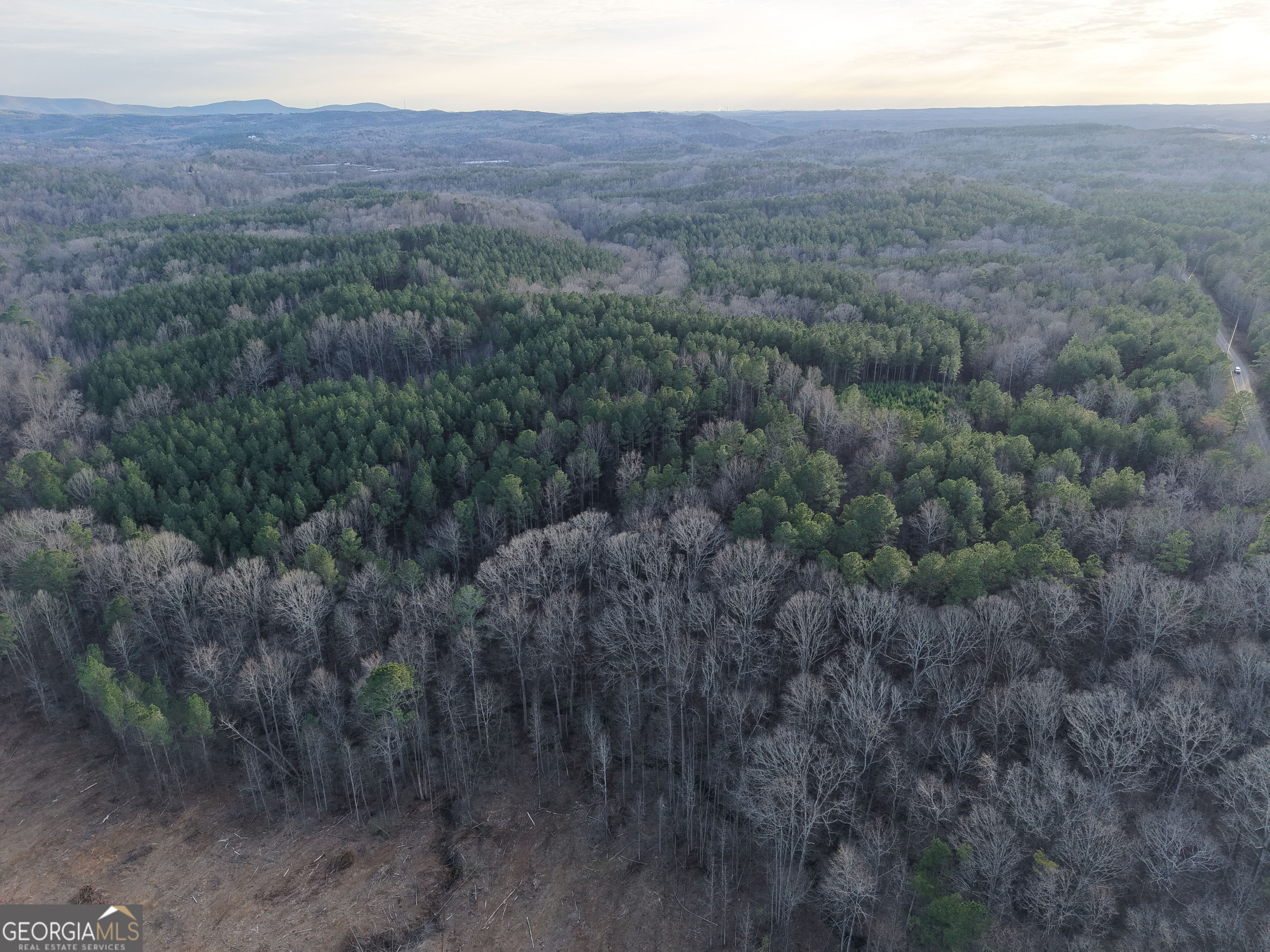 0 Ryo Mountain Road, Unit 9609 Fairmount, GA 30139 - Photo 28 of 33 a view of a dry yard