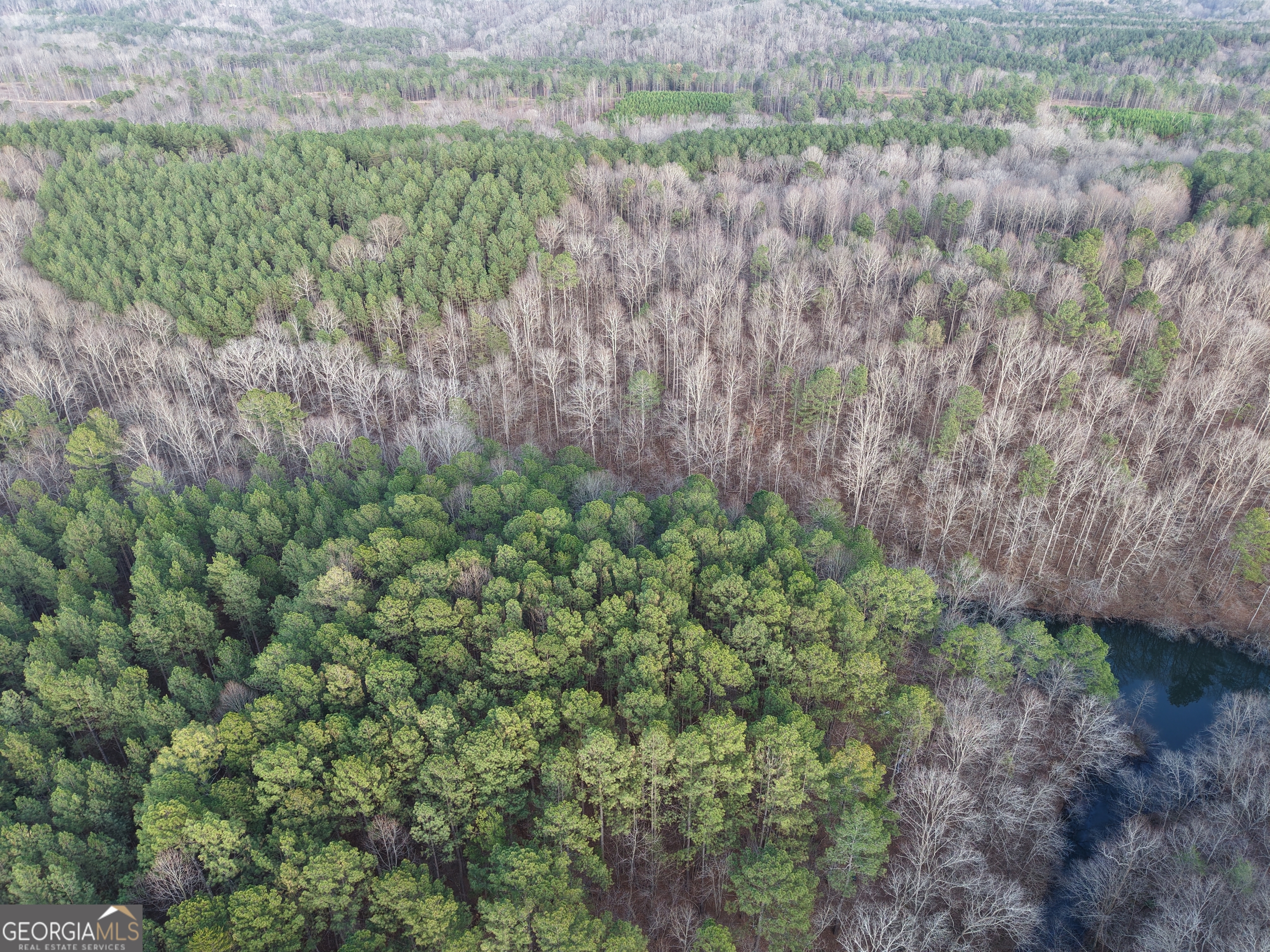 0 Ryo Mountain Road, Unit 9609 Fairmount, GA 30139 - Photo 29 of 33 a view of a lush green forest