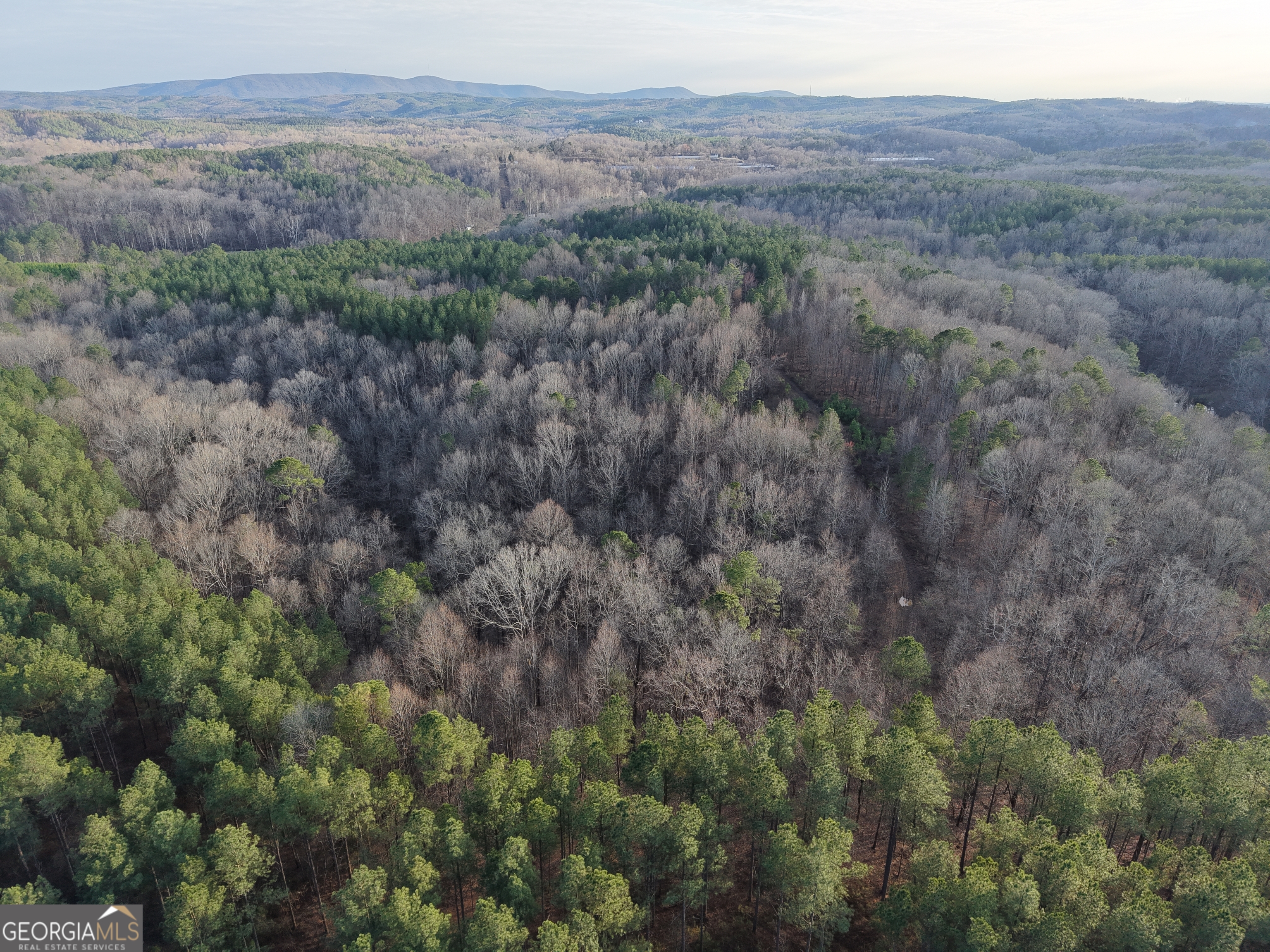 0 Ryo Mountain Road, Unit 9609 Fairmount, GA 30139 - Photo 30 of 33 a view of a dry yard