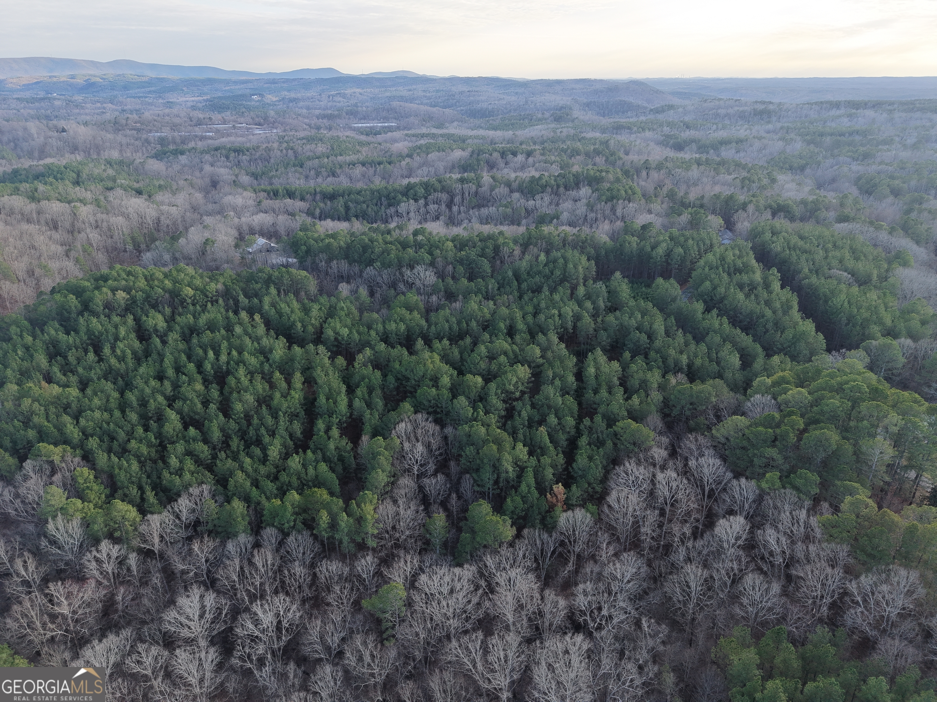 0 Ryo Mountain Road, Unit 9609 Fairmount, GA 30139 - Photo 31 of 33 a view of a dry yard