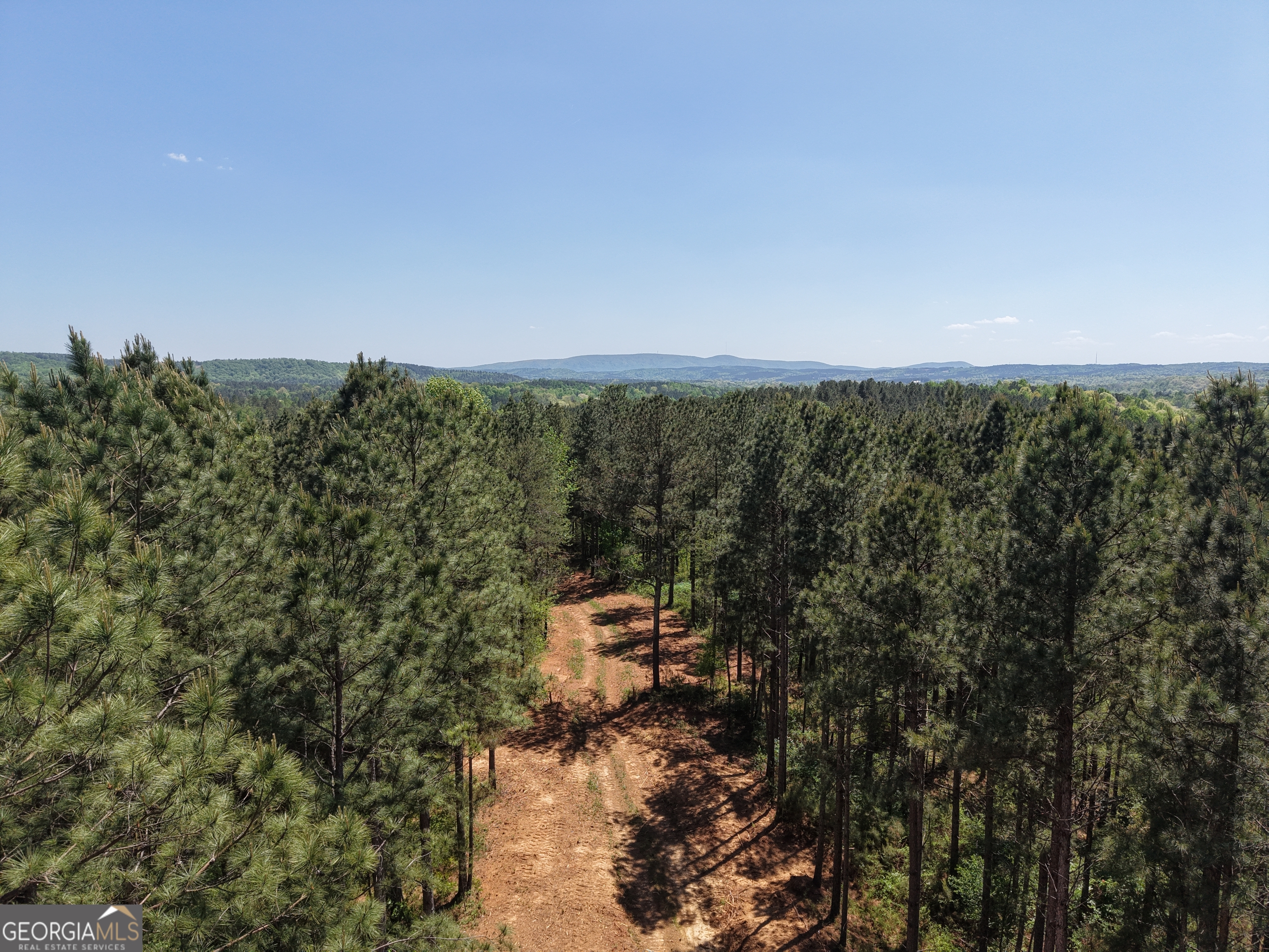 0 Ryo Mountain Road, Unit 9609 Fairmount, GA 30139 - Photo 31 of 87