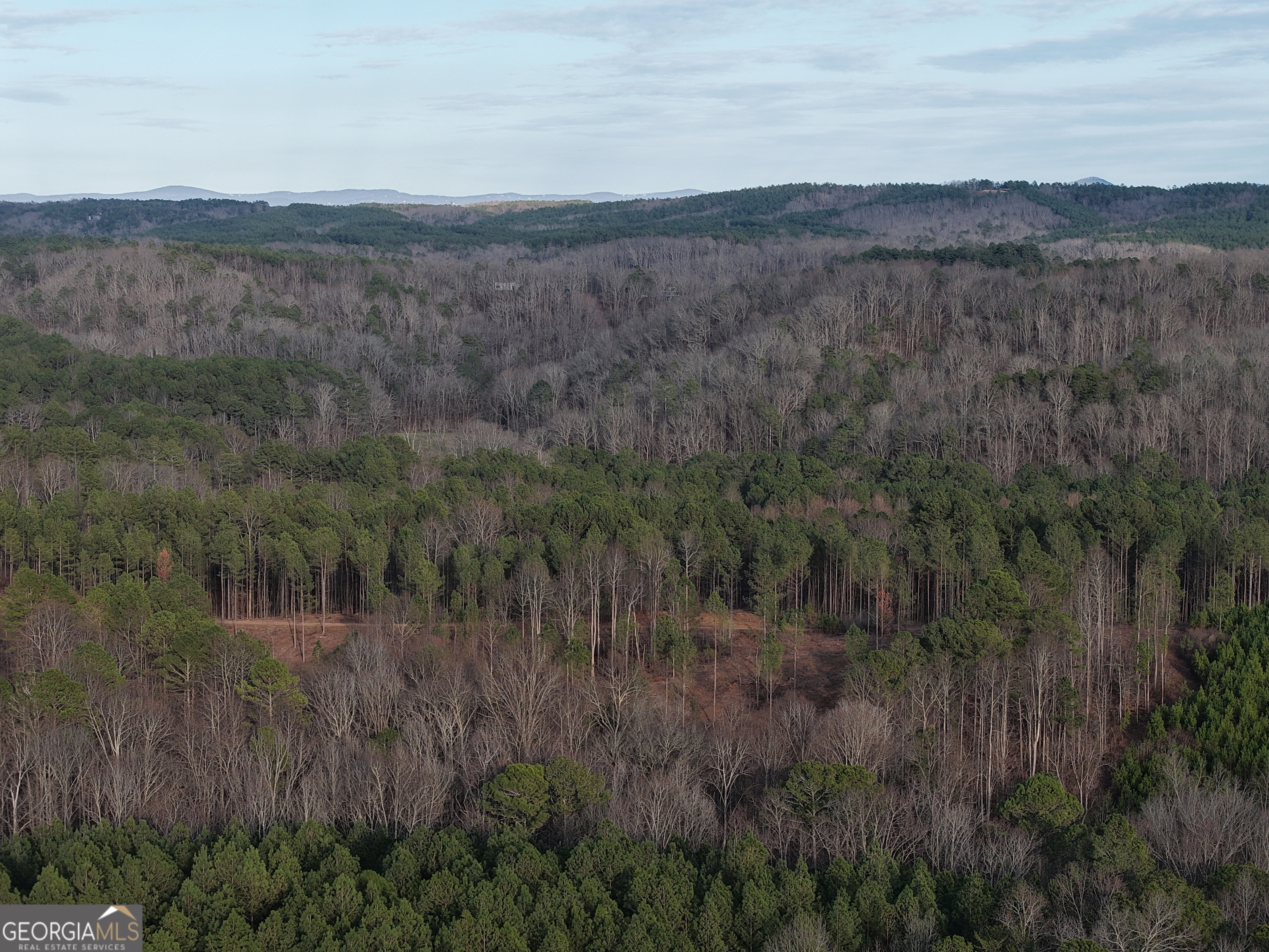 0 Ryo Mountain Road, Unit 9609 Fairmount, GA 30139 - Photo 32 of 33 a view of a lush green field
