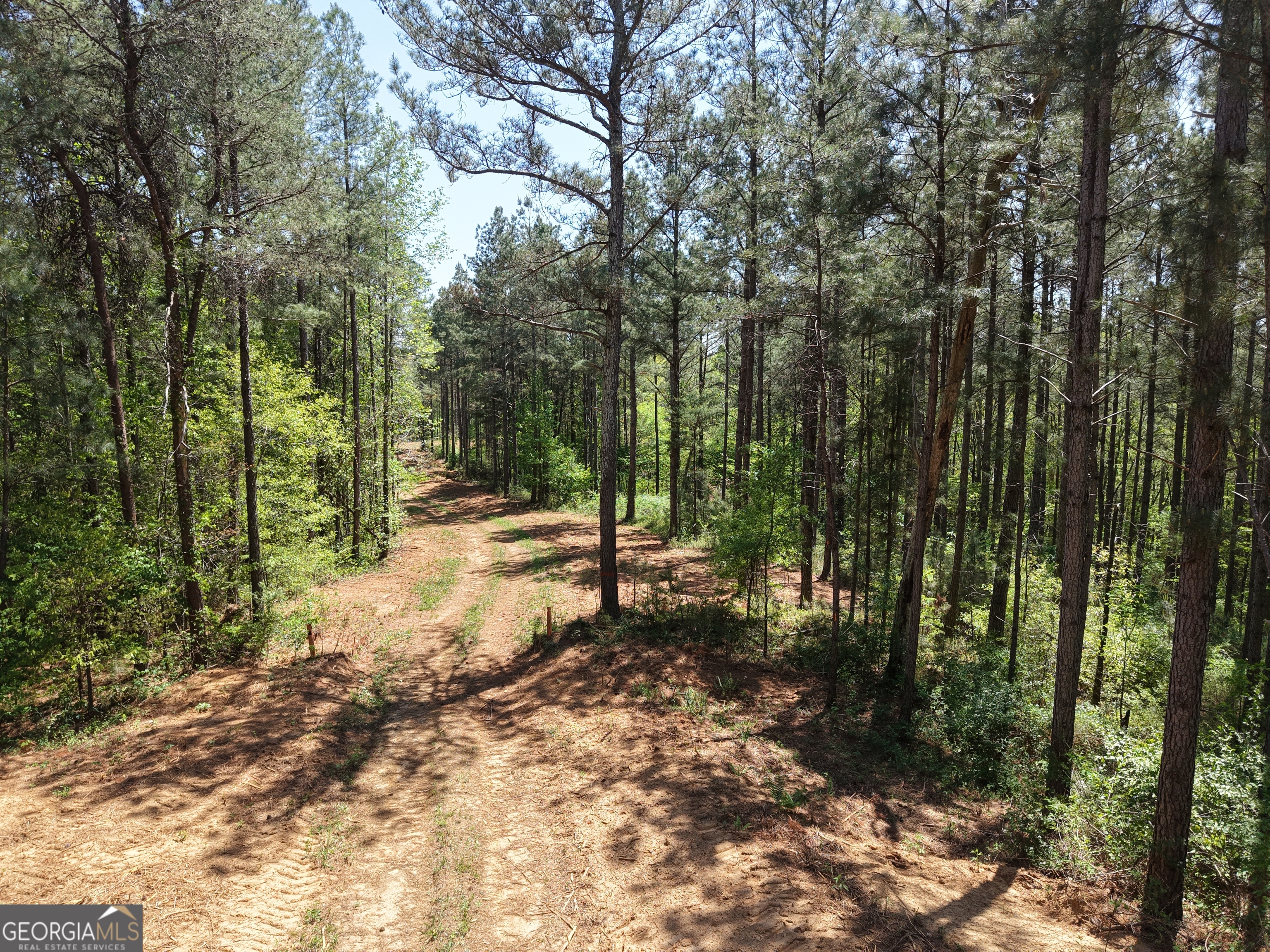 0 Ryo Mountain Road, Unit 9609 Fairmount, GA 30139 - Photo 35 of 87 a view of outdoor space and trees