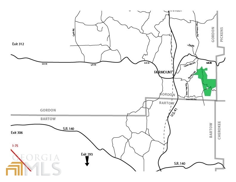 0 Ryo Mountain Road, Unit 9609 Fairmount, GA 30139 - Photo 4 of 33 a picture of a field with a plant