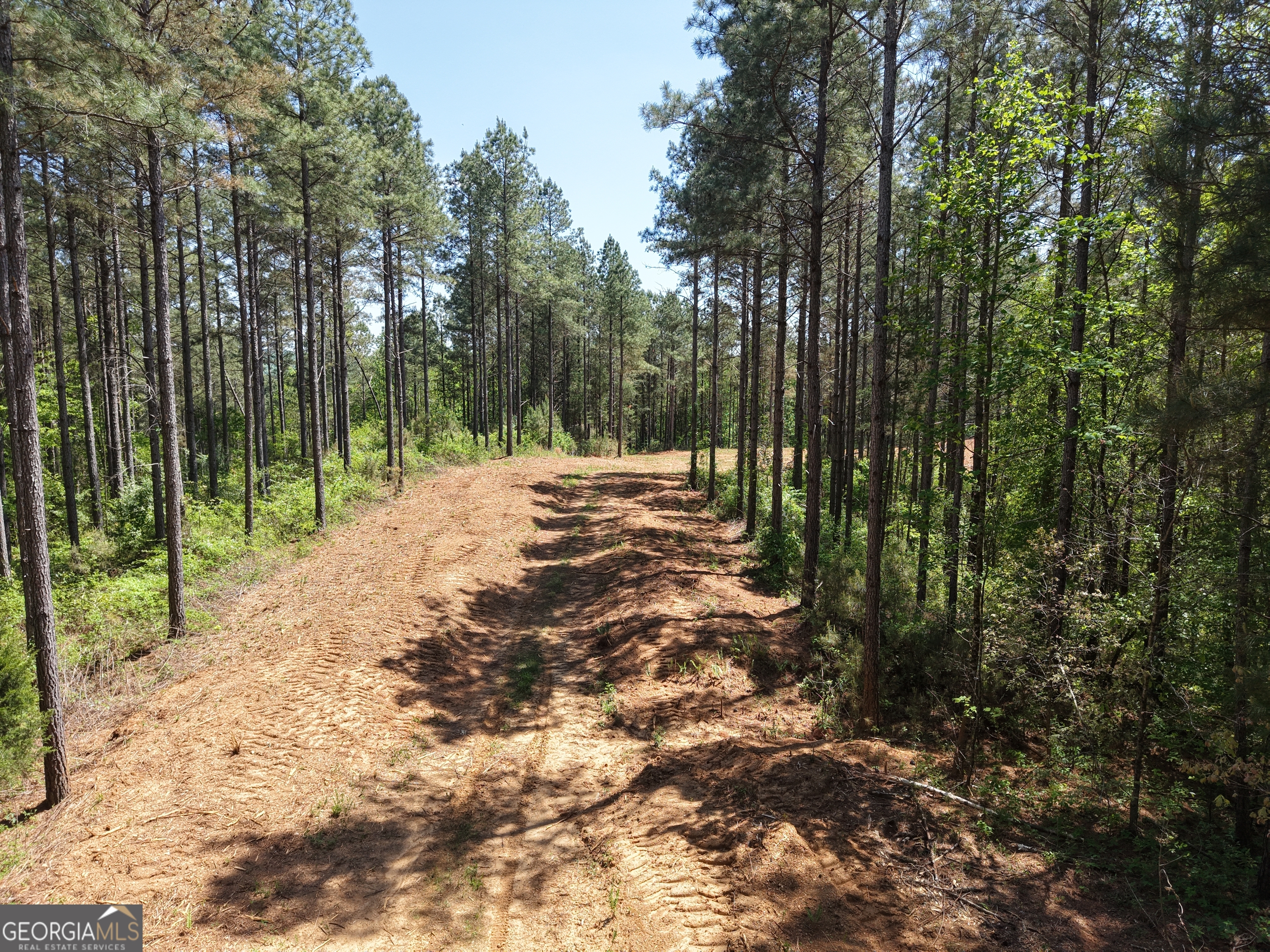 0 Ryo Mountain Road, Unit 9609 Fairmount, GA 30139 - Photo 41 of 87 a view of outdoor space and yard