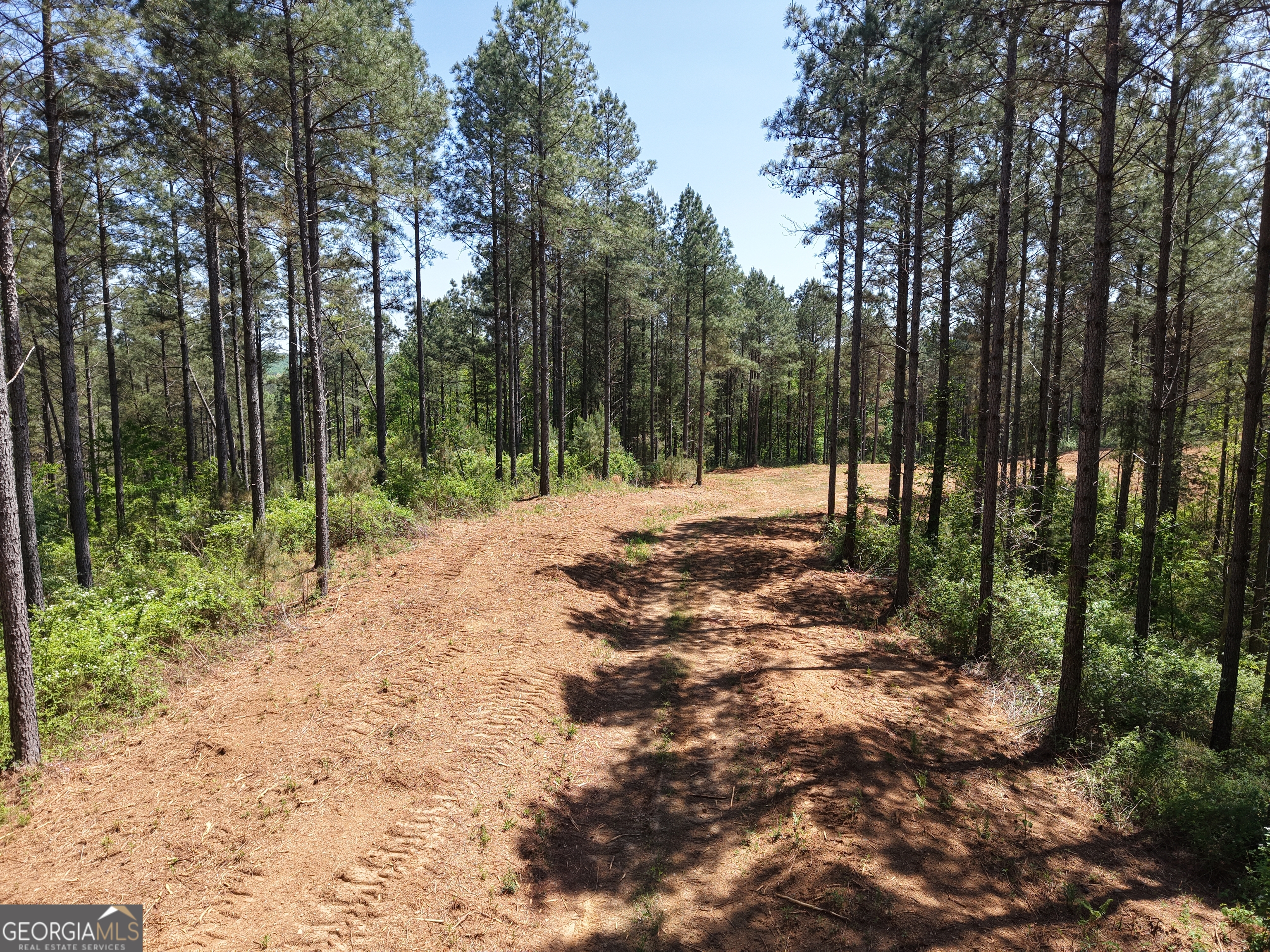 0 Ryo Mountain Road, Unit 9609 Fairmount, GA 30139 - Photo 43 of 87