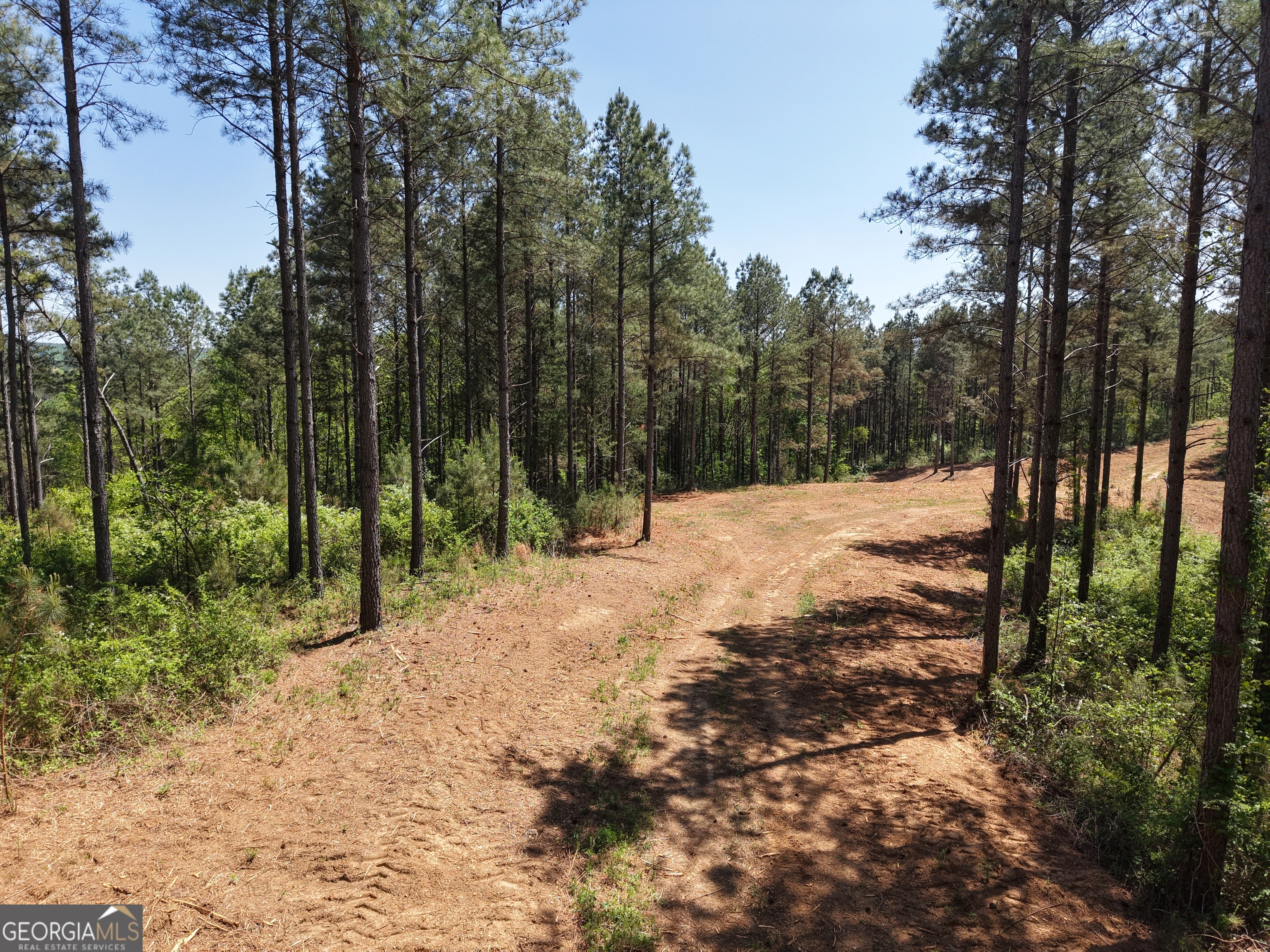 0 Ryo Mountain Road, Unit 9609 Fairmount, GA 30139 - Photo 45 of 87