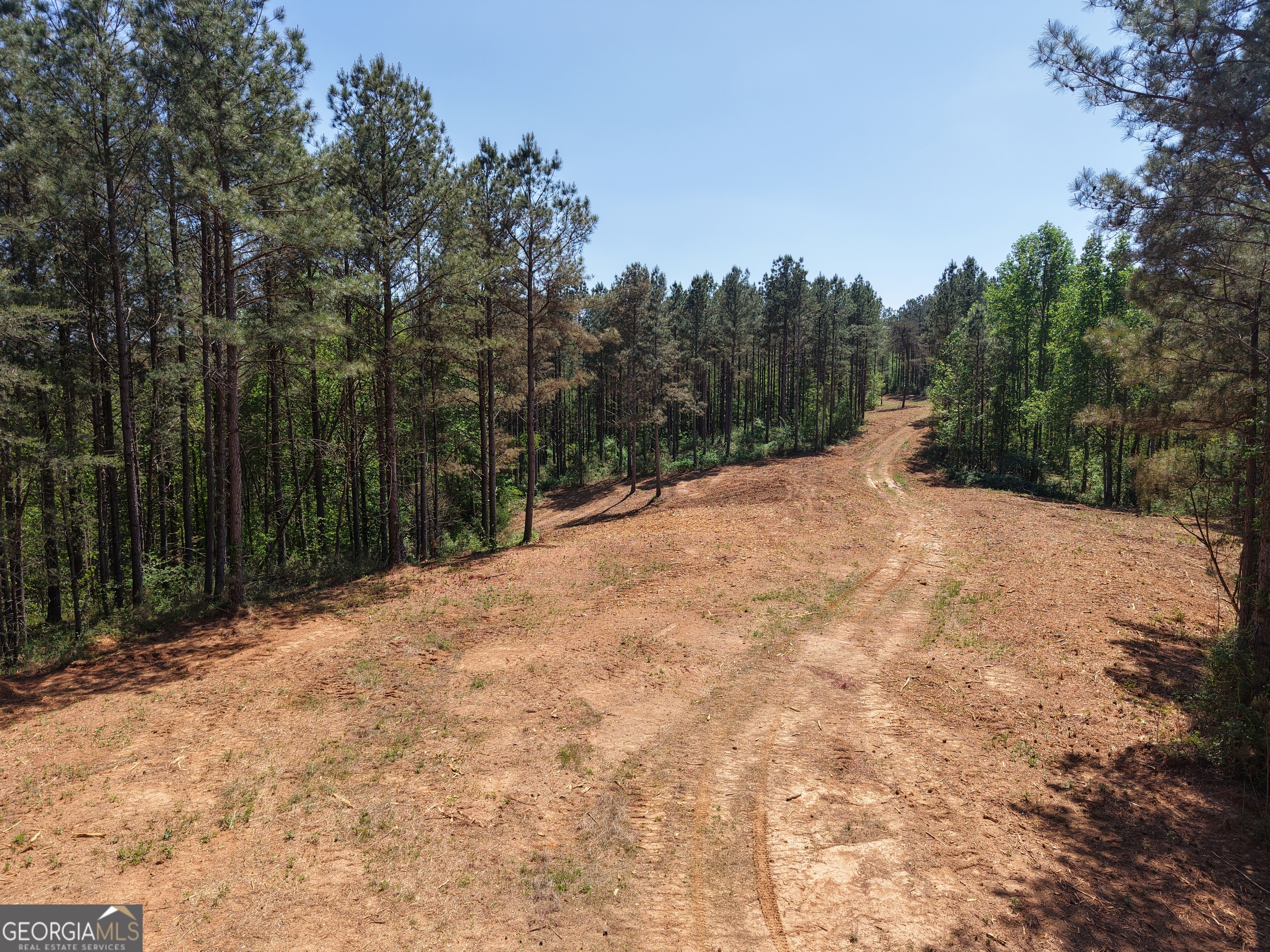 0 Ryo Mountain Road, Unit 9609 Fairmount, GA 30139 - Photo 51 of 87 a view of a backyard of the house