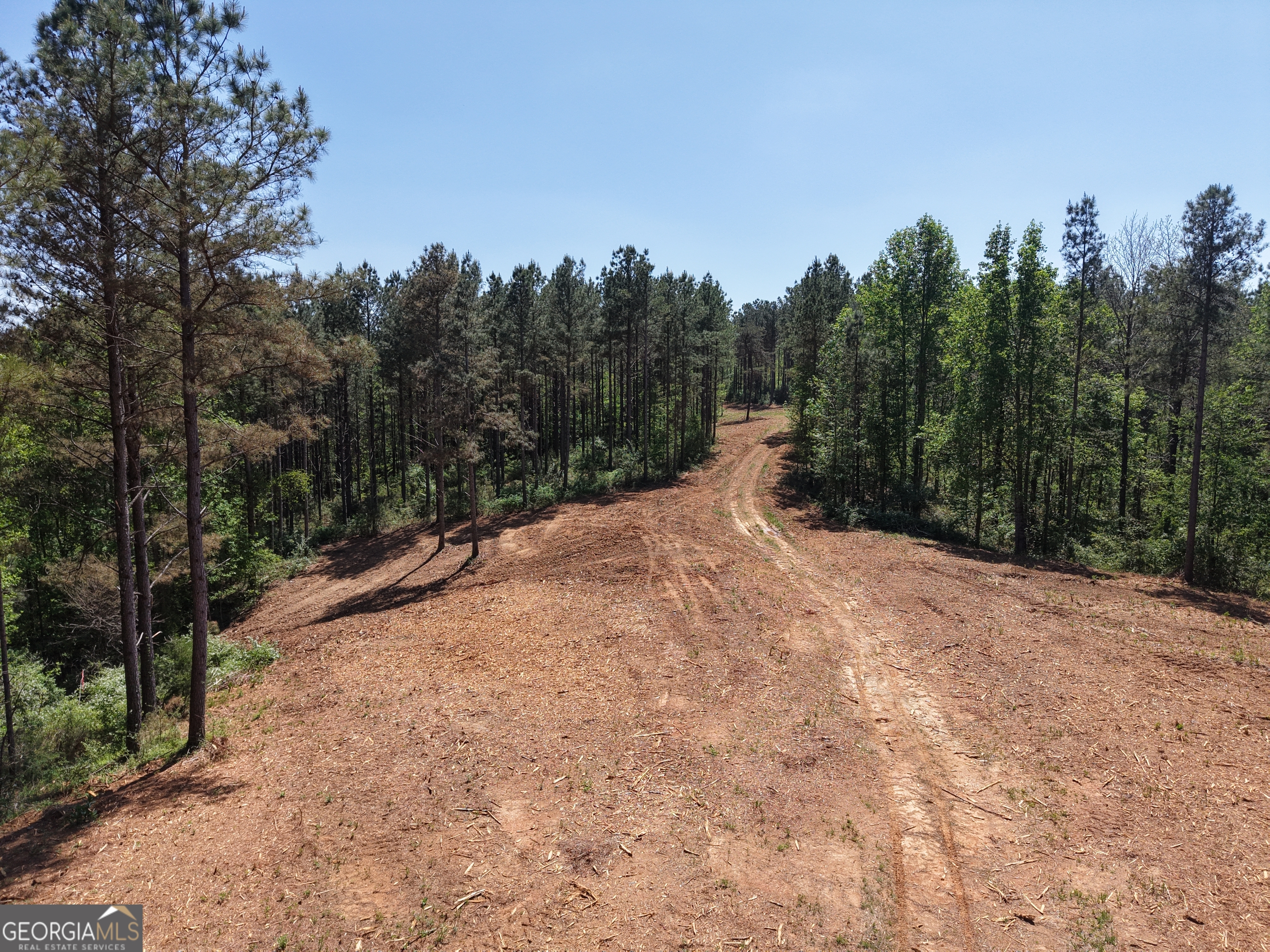 0 Ryo Mountain Road, Unit 9609 Fairmount, GA 30139 - Photo 53 of 87 a view of a road with trees in the background
