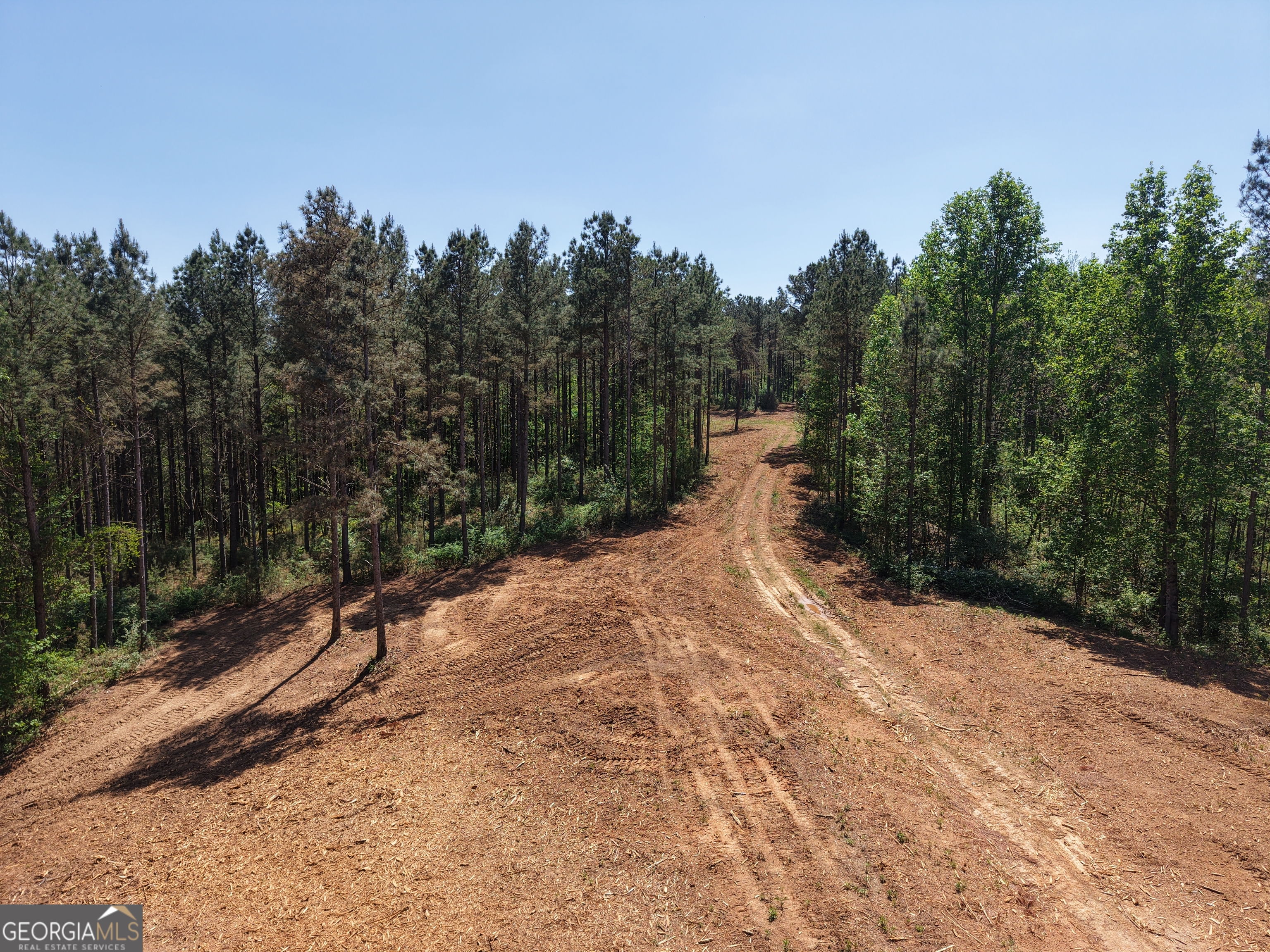0 Ryo Mountain Road, Unit 9609 Fairmount, GA 30139 - Photo 57 of 87 a pathway of a yard with trees