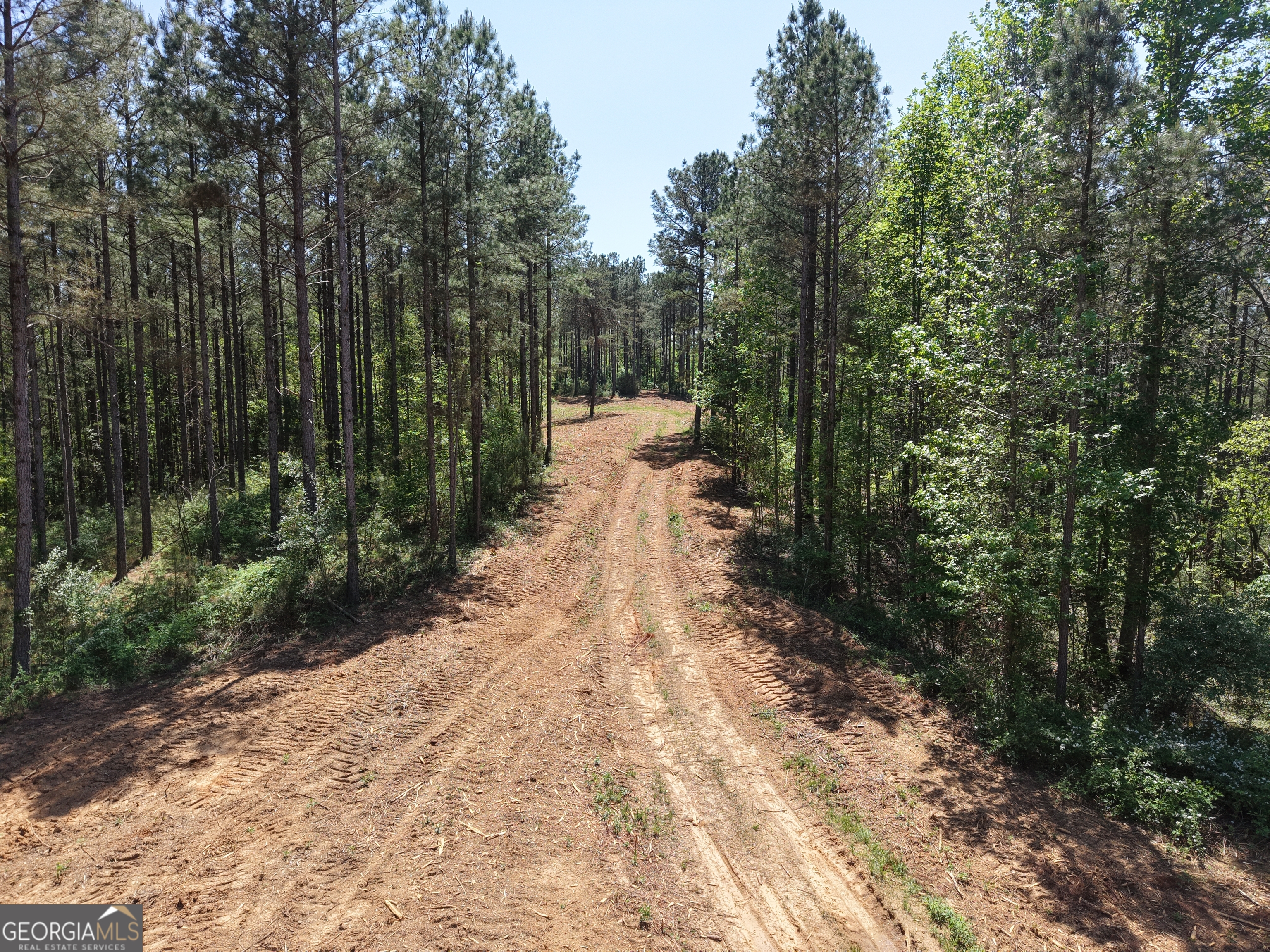 0 Ryo Mountain Road, Unit 9609 Fairmount, GA 30139 - Photo 61 of 87 a view of a yard with plants and large trees