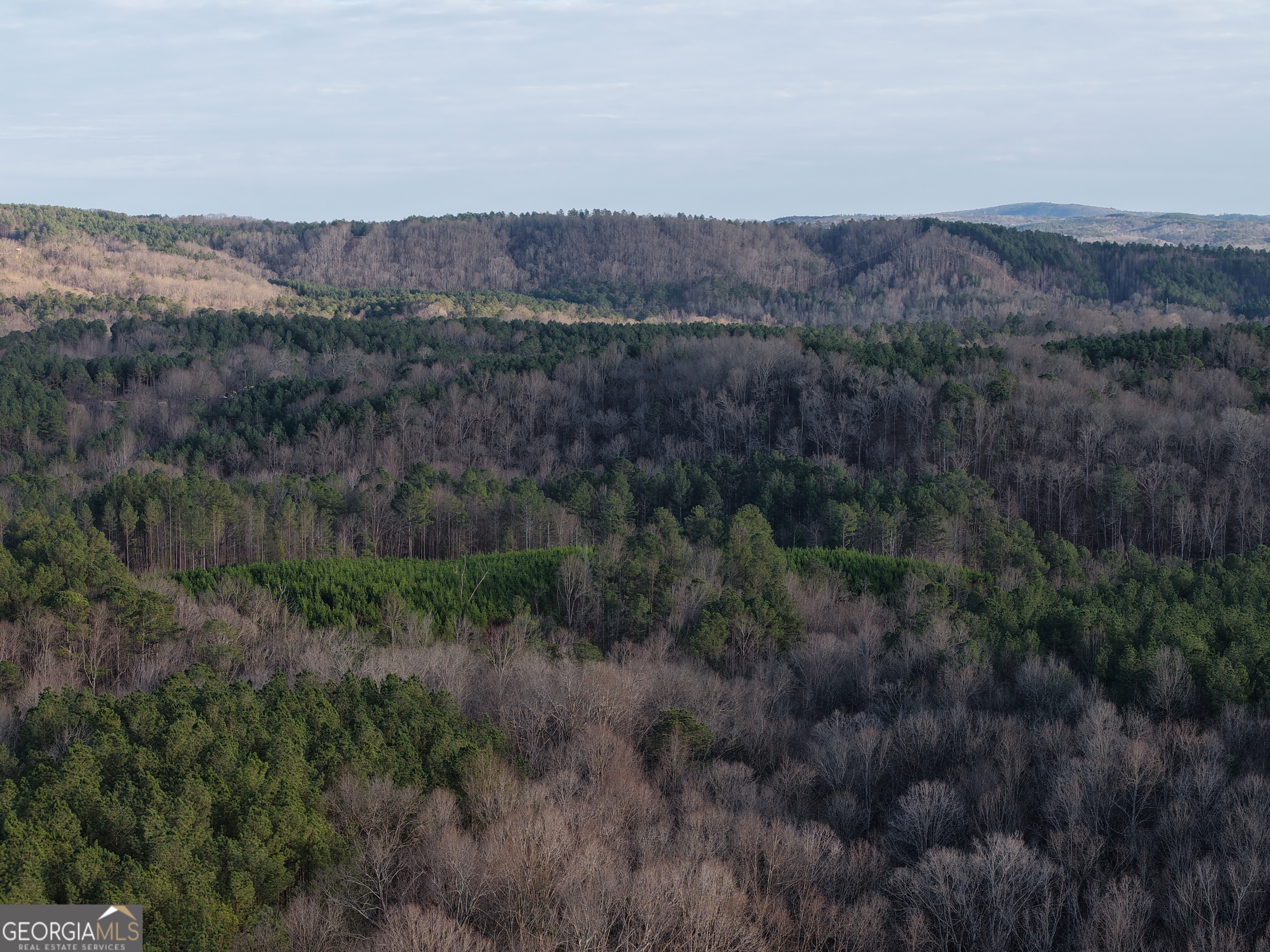 0 Ryo Mountain Road, Unit 9609 Fairmount, GA 30139 - Photo 64 of 87 an aerial view of residential house and green space