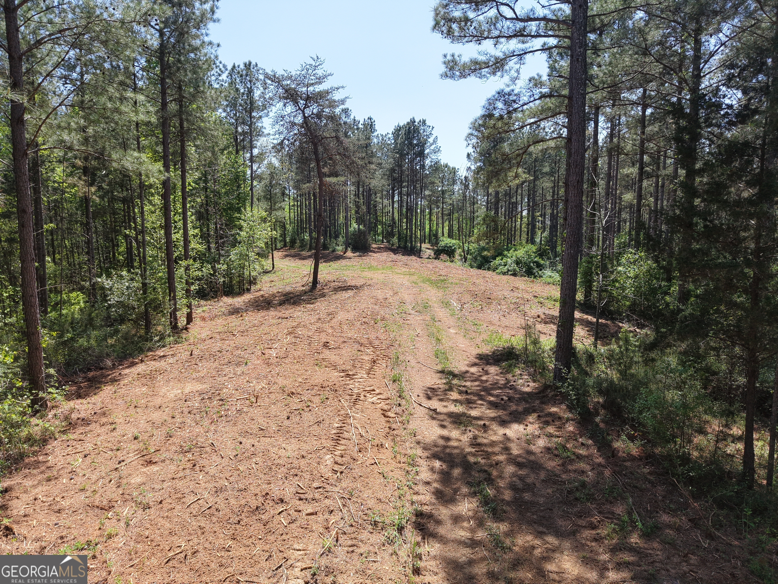 0 Ryo Mountain Road, Unit 9609 Fairmount, GA 30139 - Photo 65 of 87 a view of a backyard of the house