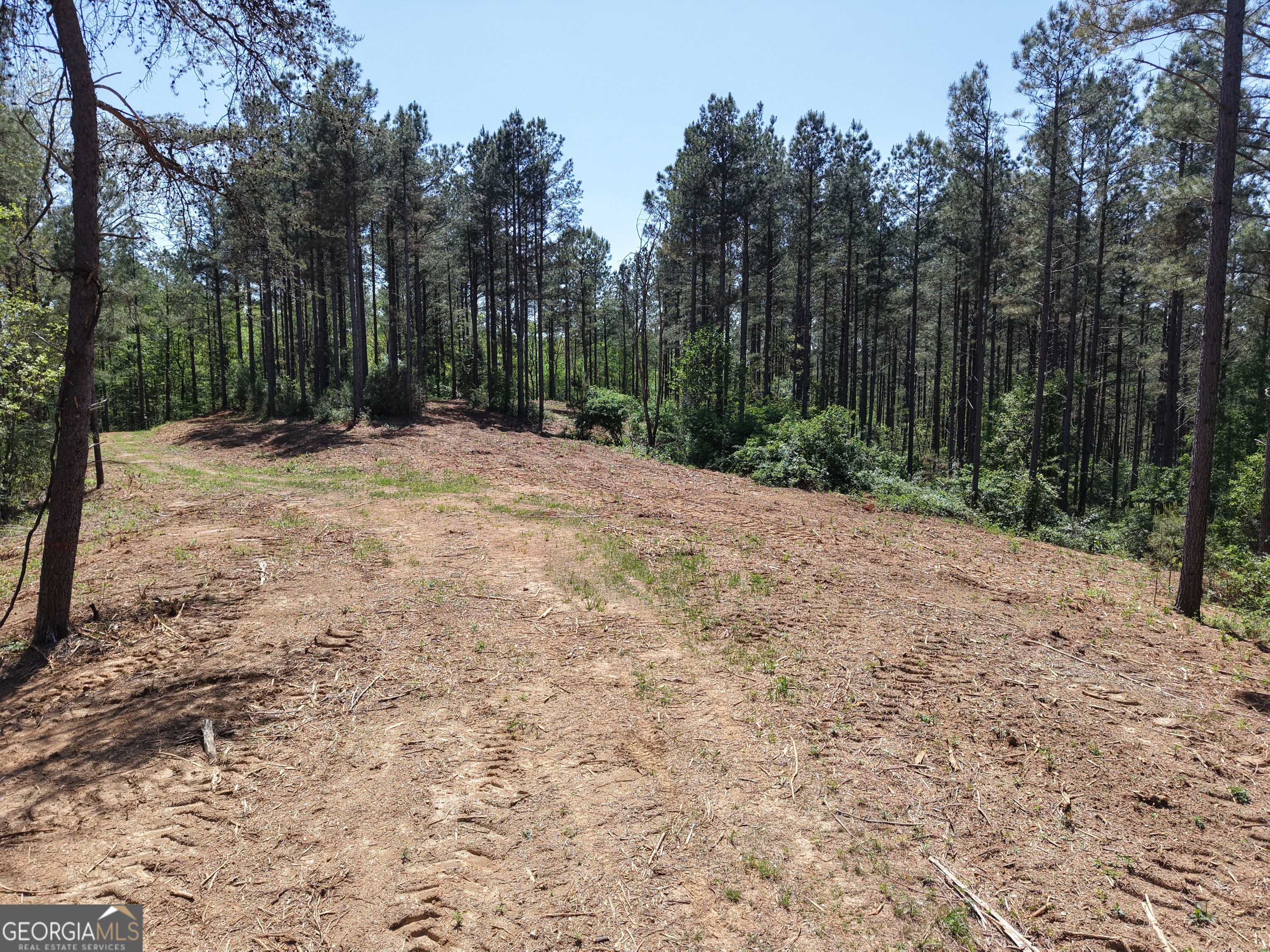 0 Ryo Mountain Road, Unit 9609 Fairmount, GA 30139 - Photo 67 of 87 a view of backyard with green space