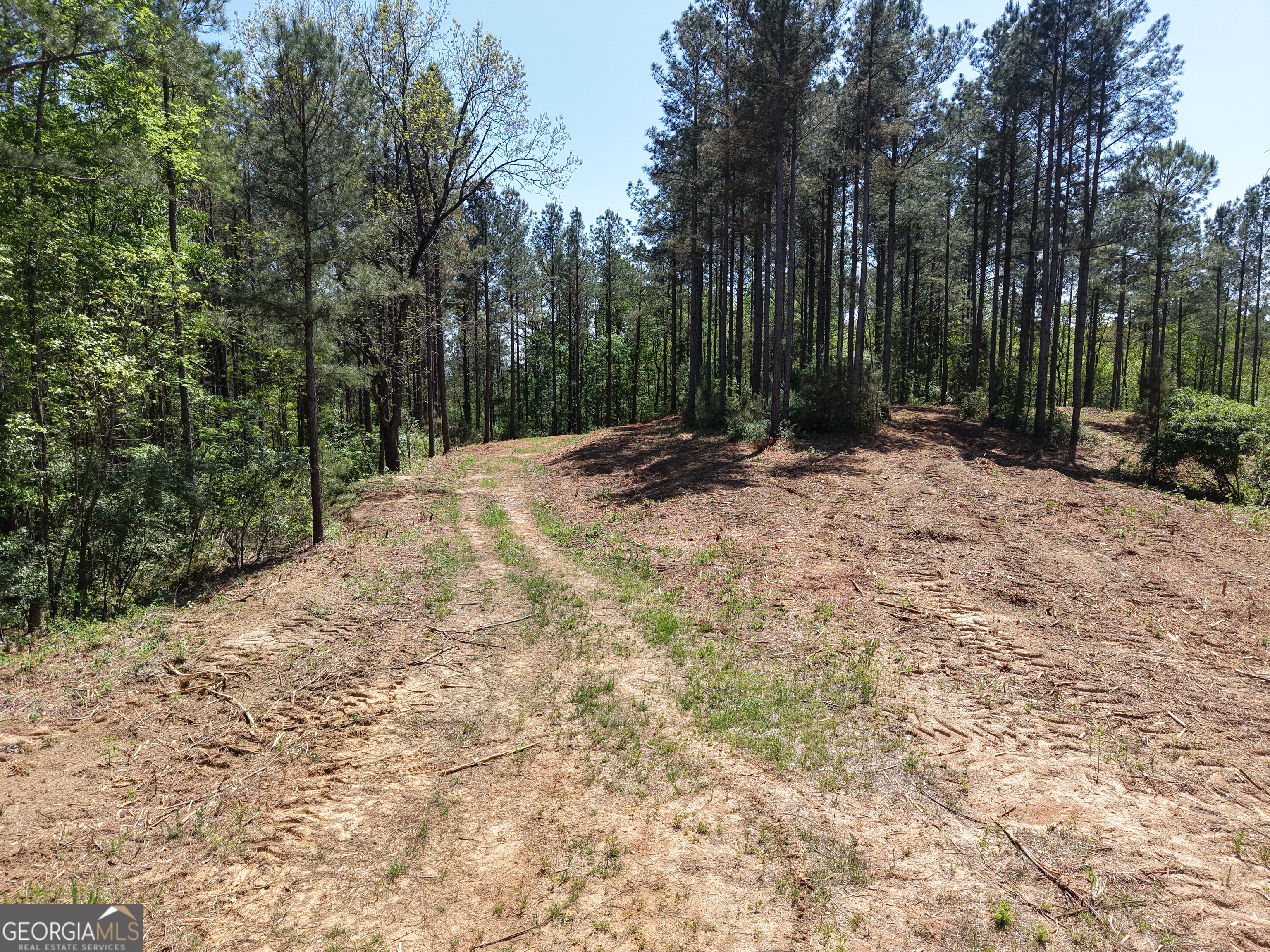 0 Ryo Mountain Road, Unit 9609 Fairmount, GA 30139 - Photo 68 of 87