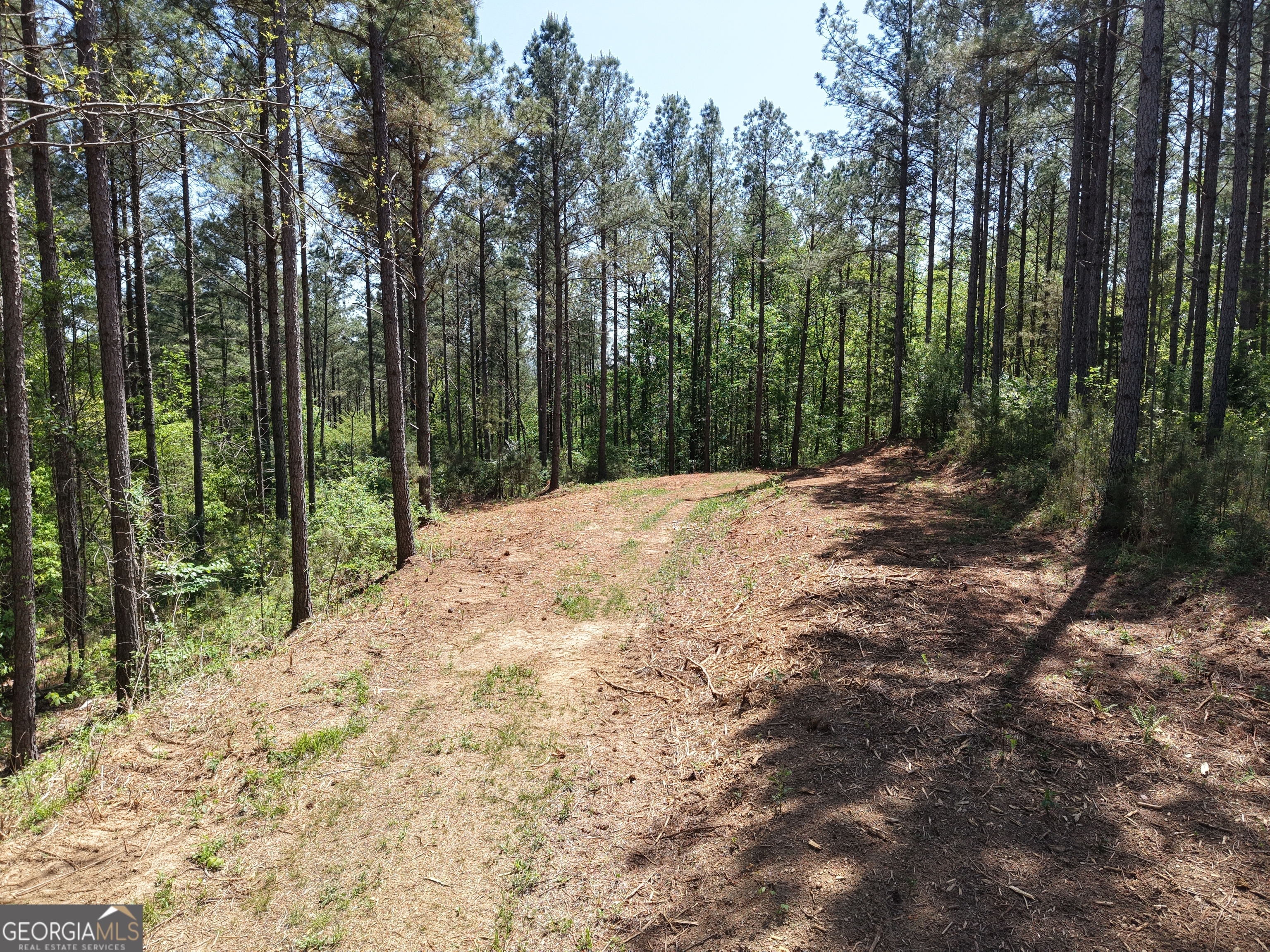 0 Ryo Mountain Road, Unit 9609 Fairmount, GA 30139 - Photo 69 of 87