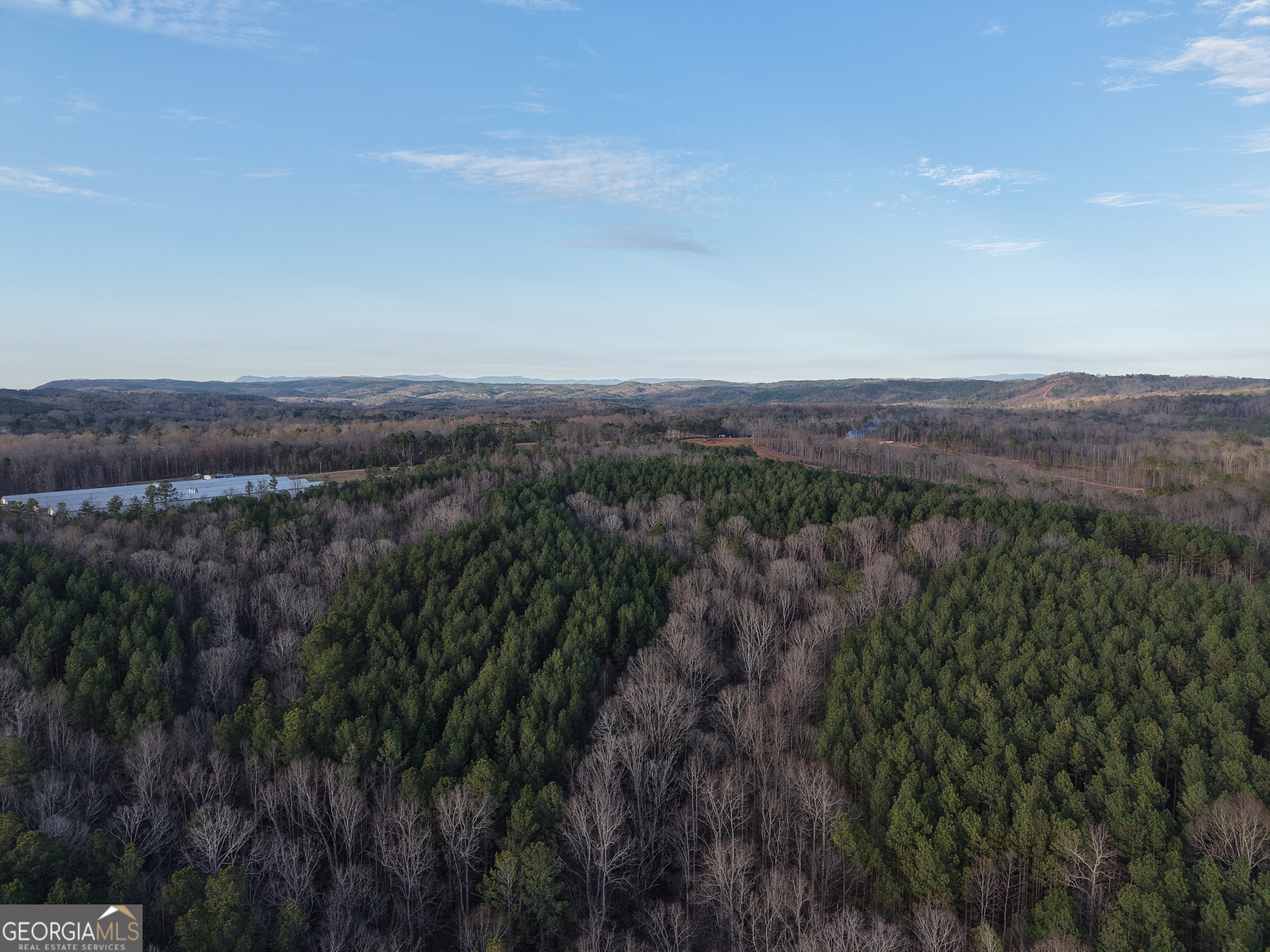 0 Ryo Mountain Road, Unit 9609 Fairmount, GA 30139 - Photo 7 of 33 a view of a city with lush green forest