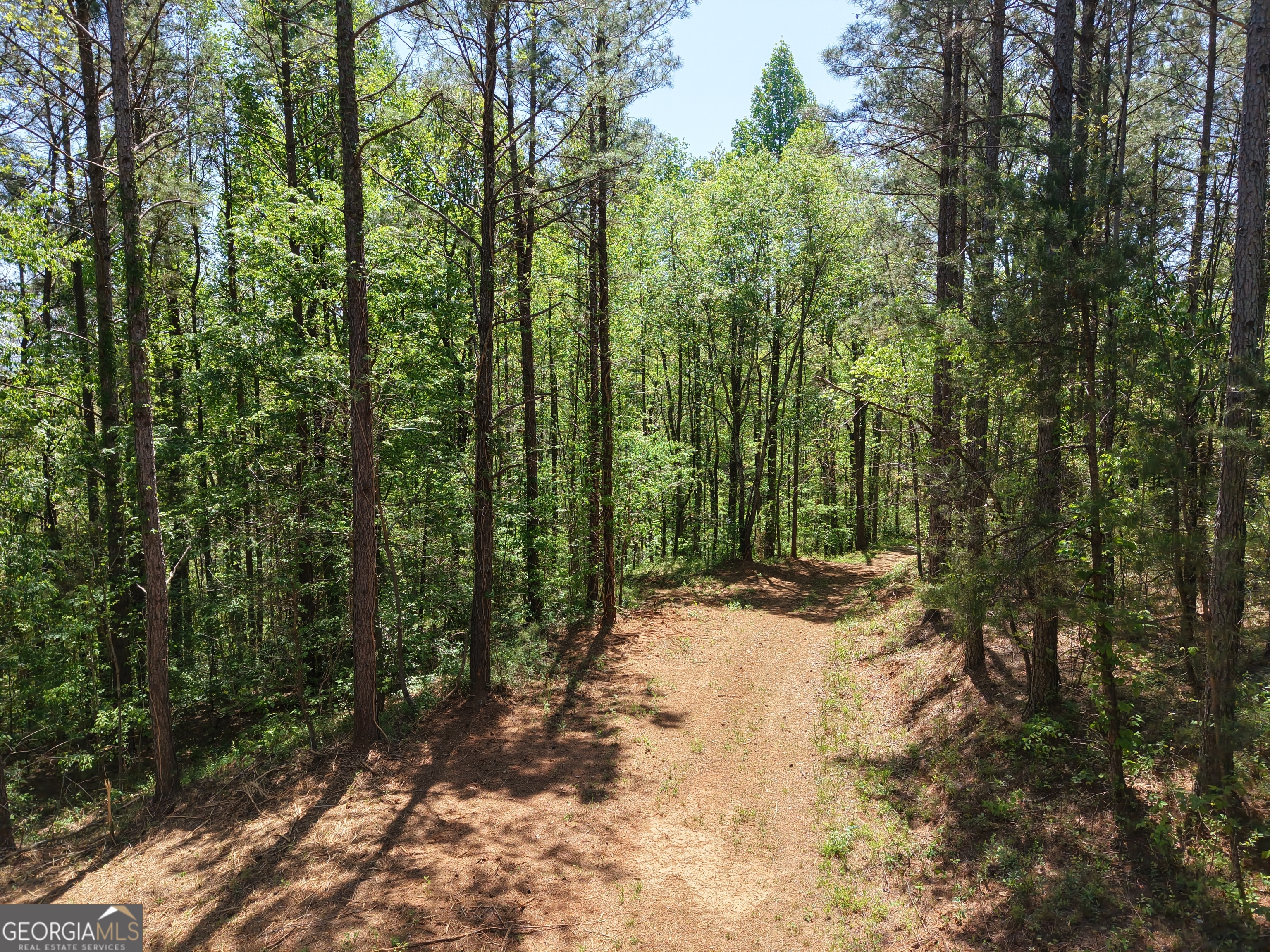 0 Ryo Mountain Road, Unit 9609 Fairmount, GA 30139 - Photo 71 of 87 a view of a forest with trees in the background