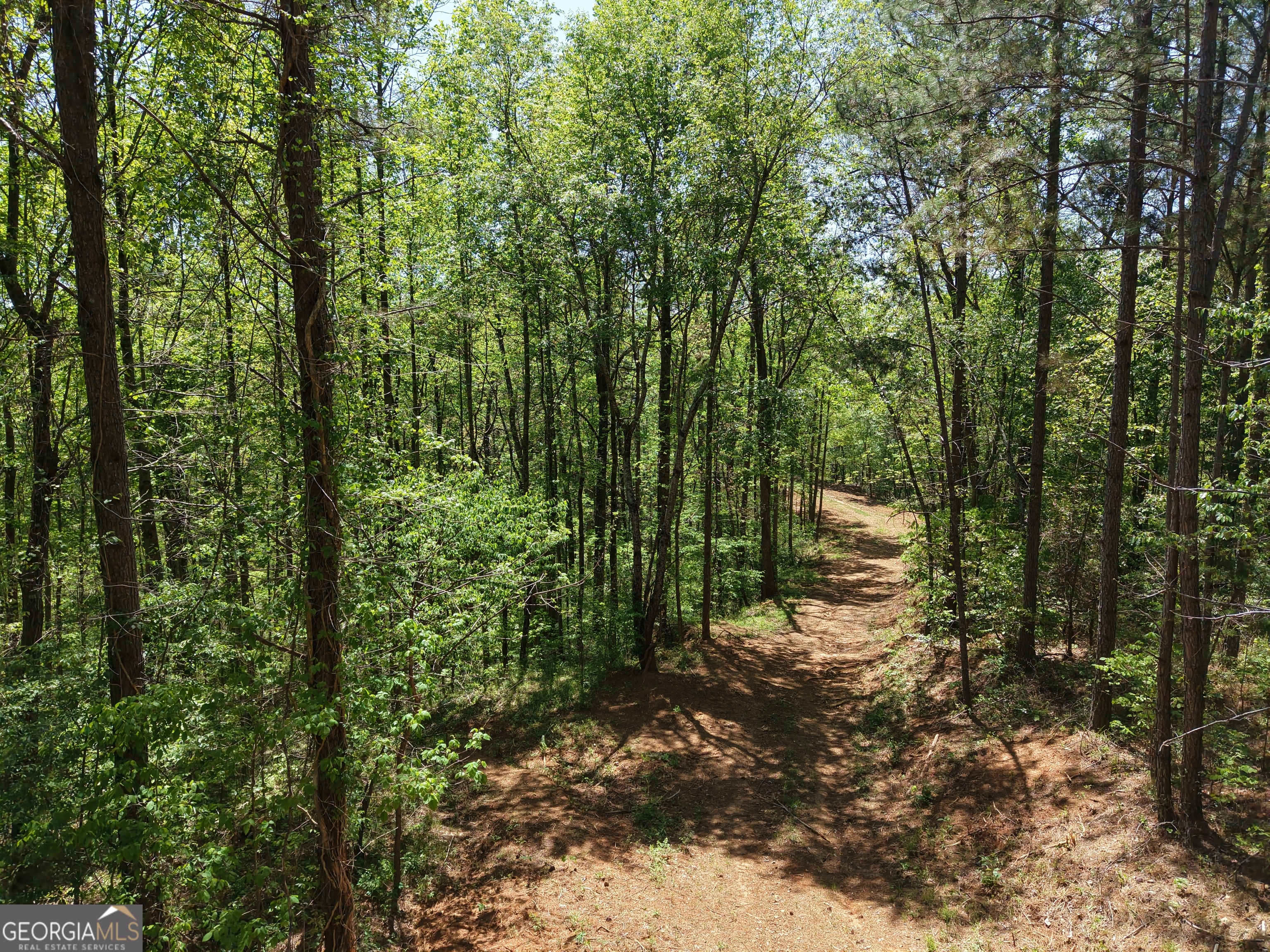 0 Ryo Mountain Road, Unit 9609 Fairmount, GA 30139 - Photo 72 of 87 a view of a forest that has large trees