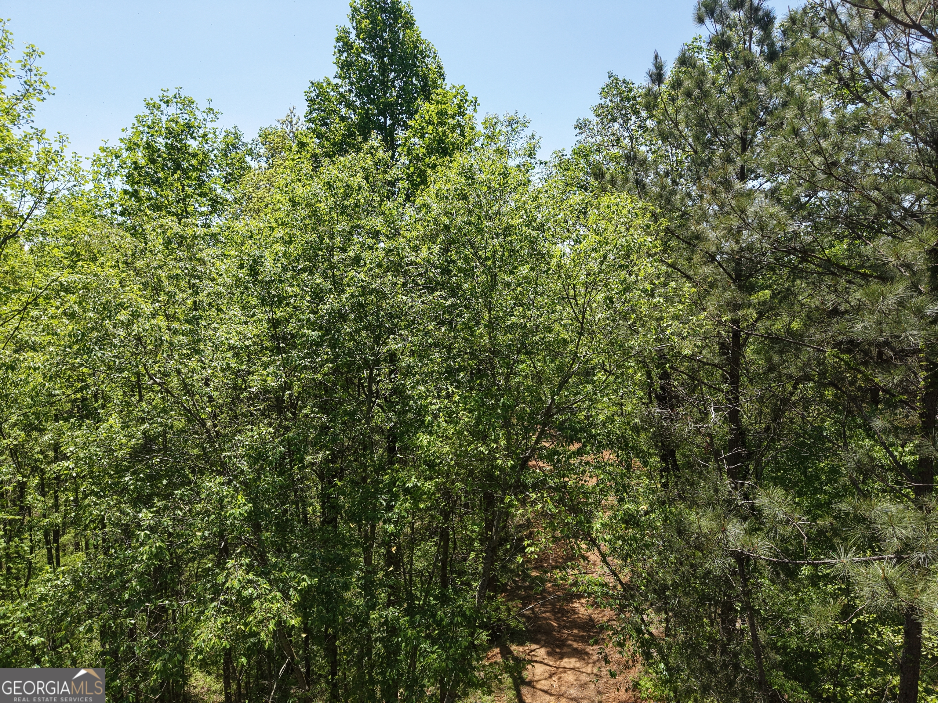 0 Ryo Mountain Road, Unit 9609 Fairmount, GA 30139 - Photo 74 of 87