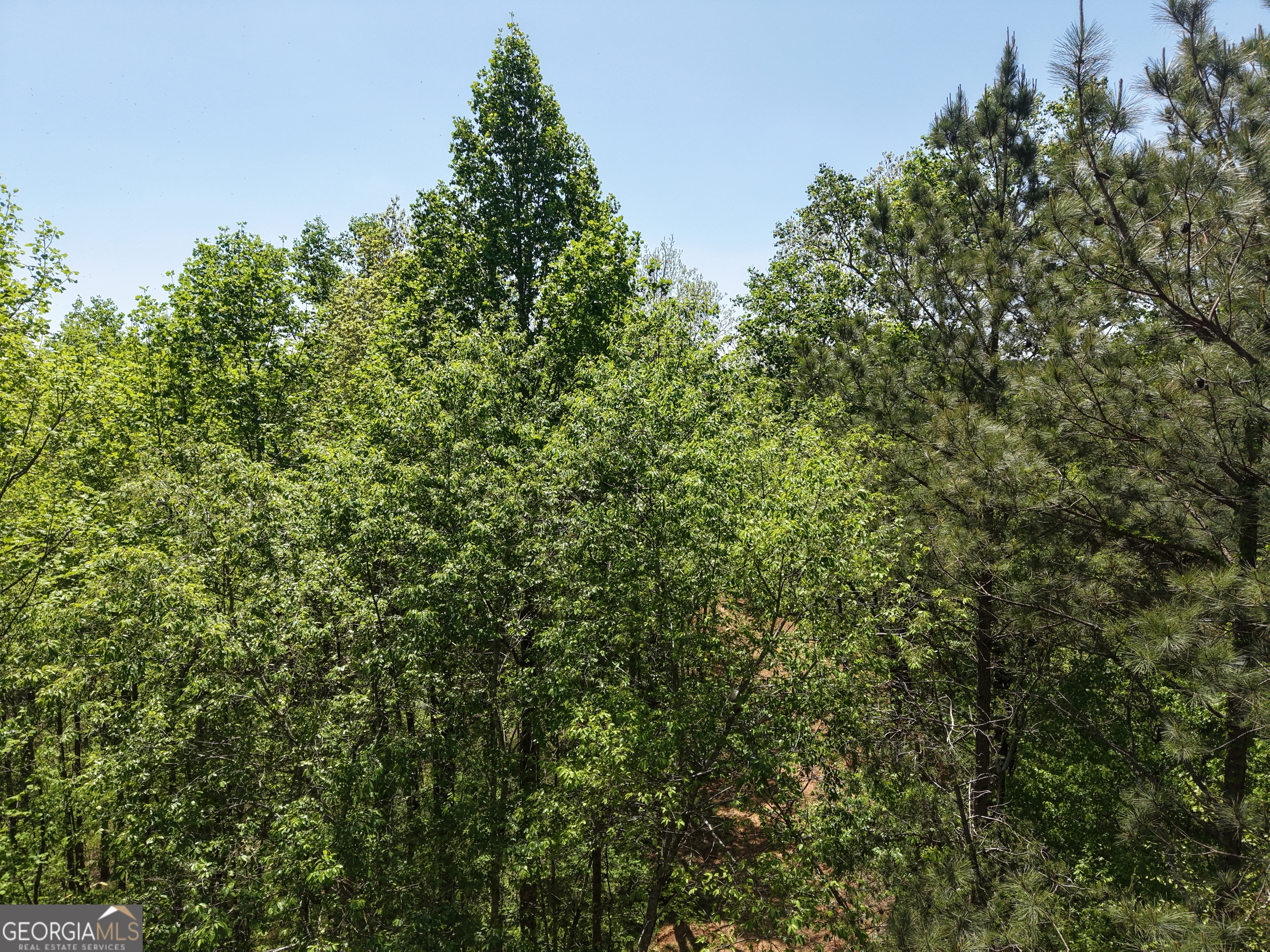0 Ryo Mountain Road, Unit 9609 Fairmount, GA 30139 - Photo 75 of 87
