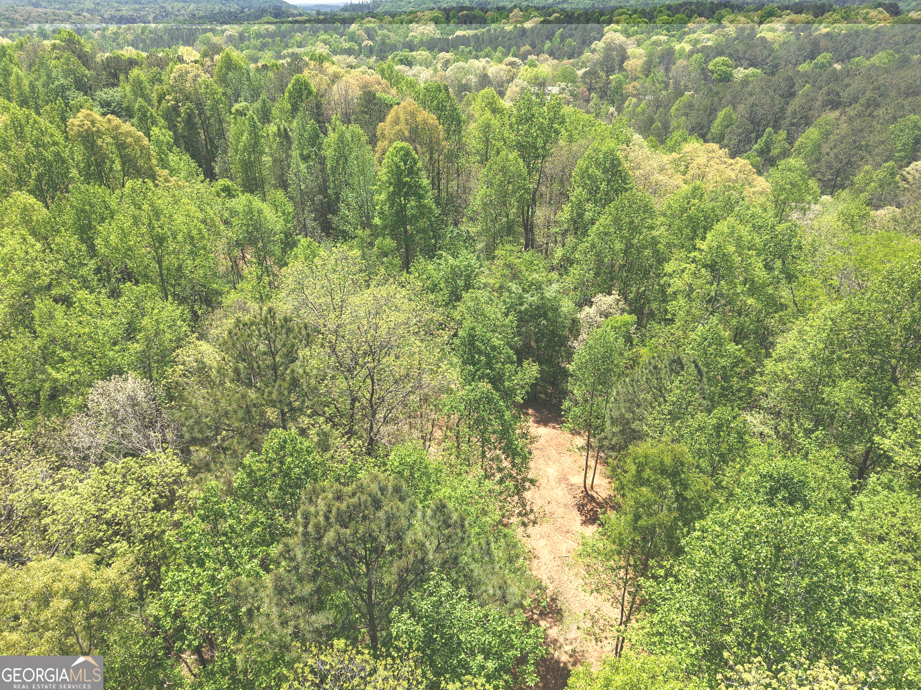 0 Ryo Mountain Road, Unit 9609 Fairmount, GA 30139 - Photo 77 of 87