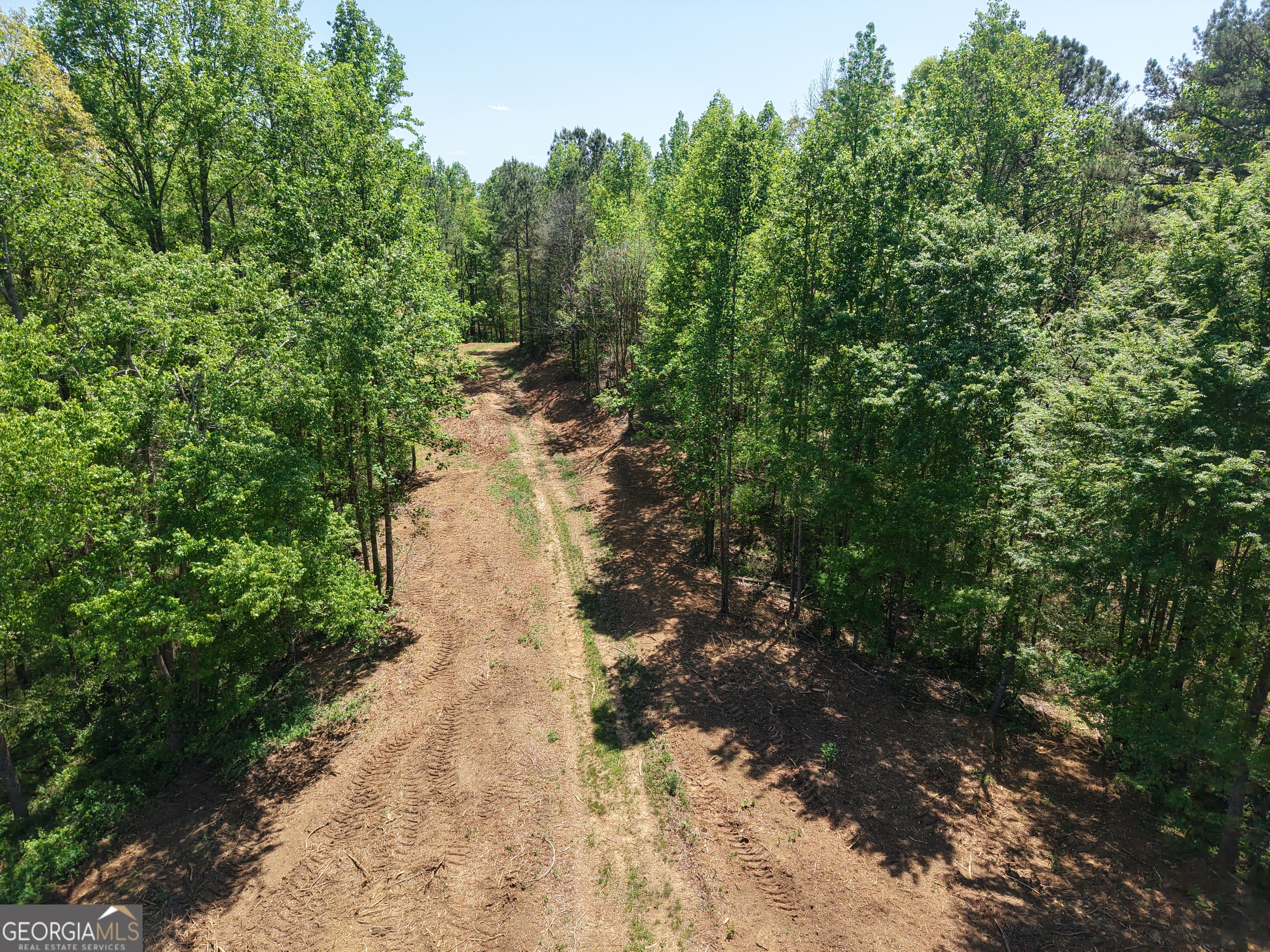 0 Ryo Mountain Road, Unit 9609 Fairmount, GA 30139 - Photo 79 of 87 a view of a pathway with a yard