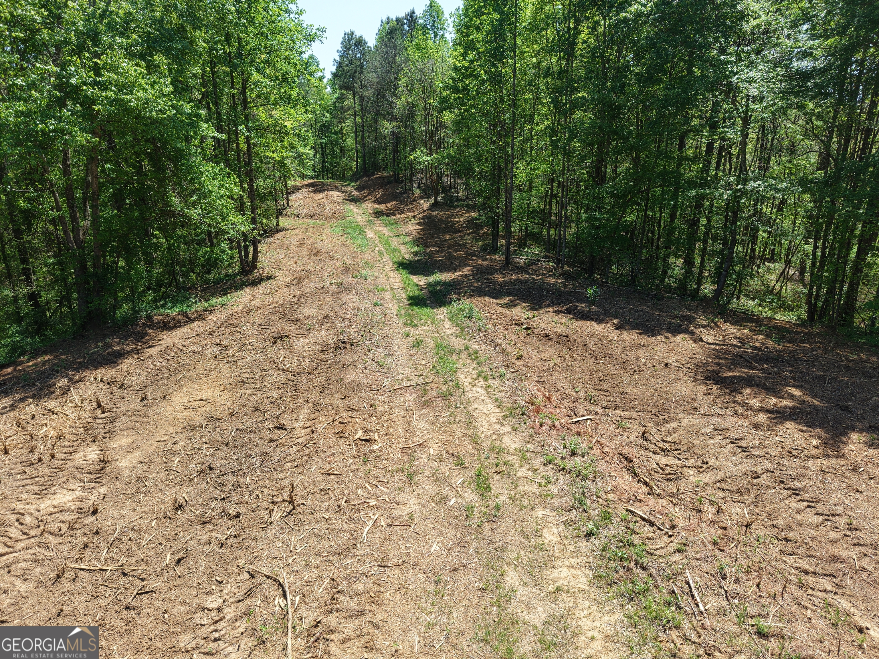0 Ryo Mountain Road, Unit 9609 Fairmount, GA 30139 - Photo 80 of 87 a view of a yard with large trees