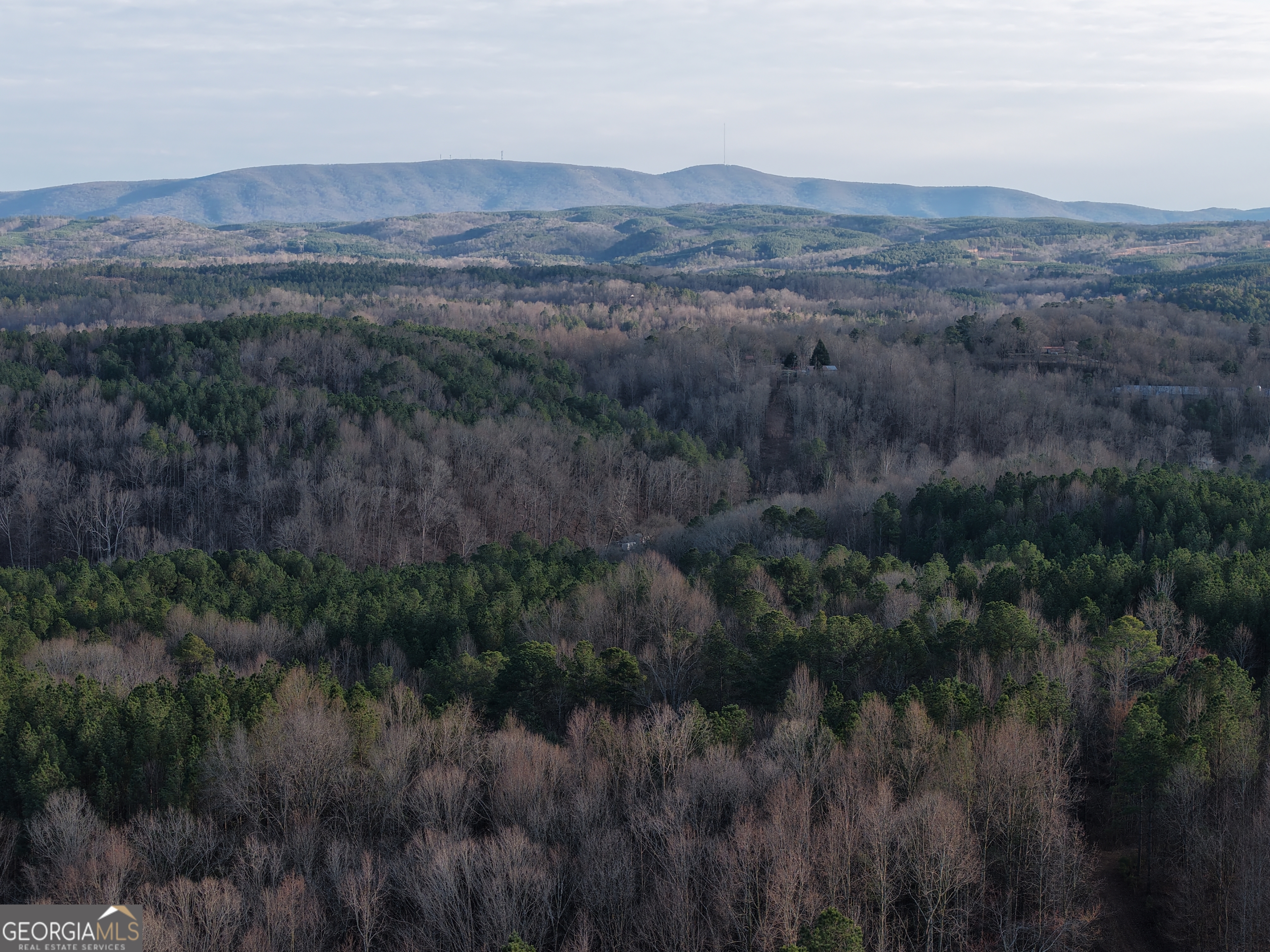 0 Ryo Mountain Road, Unit 9609 Fairmount, GA 30139 - Photo 8 of 33 a view of a lush green forest with a mountain and trees