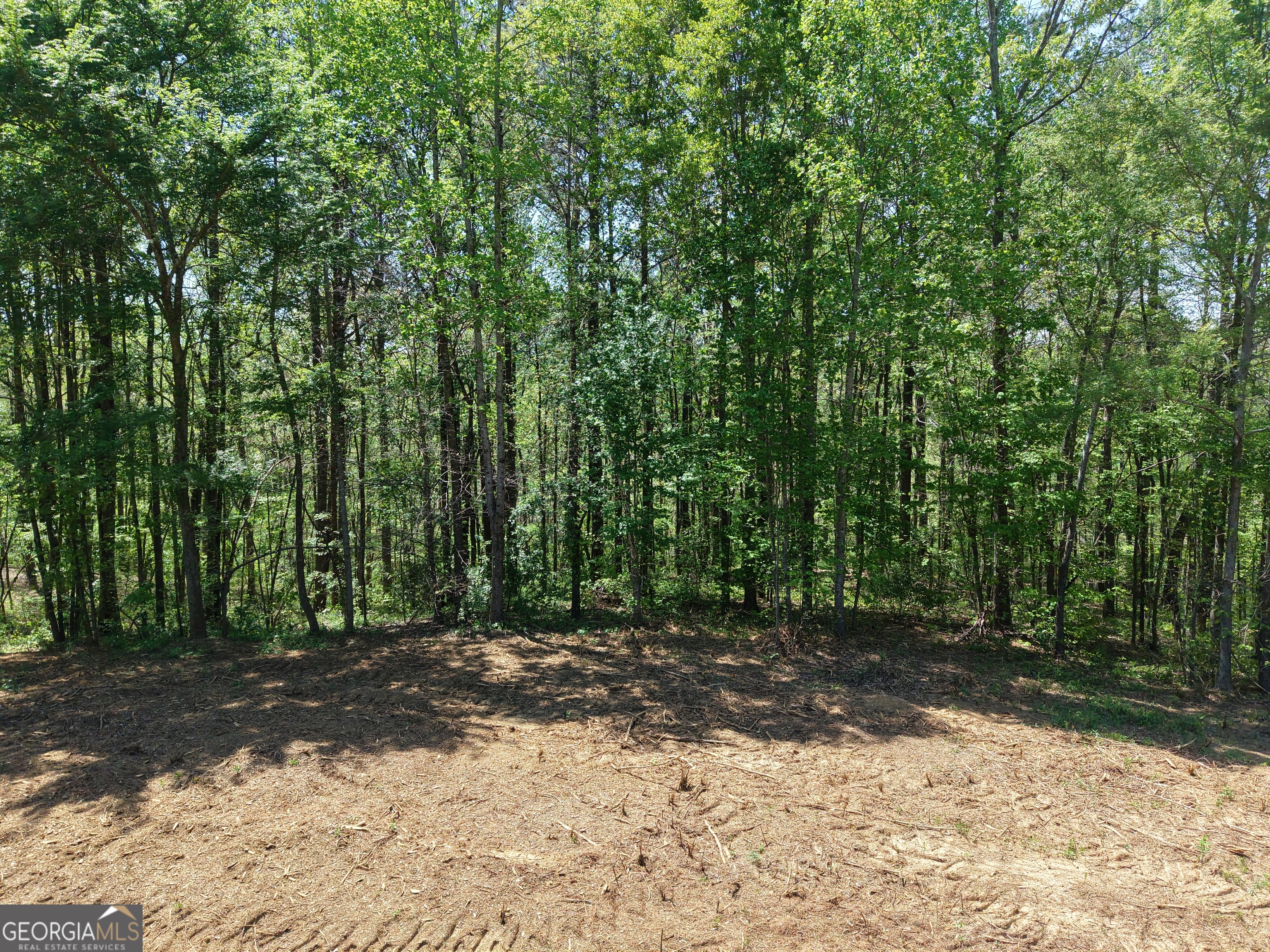 0 Ryo Mountain Road, Unit 9609 Fairmount, GA 30139 - Photo 81 of 87