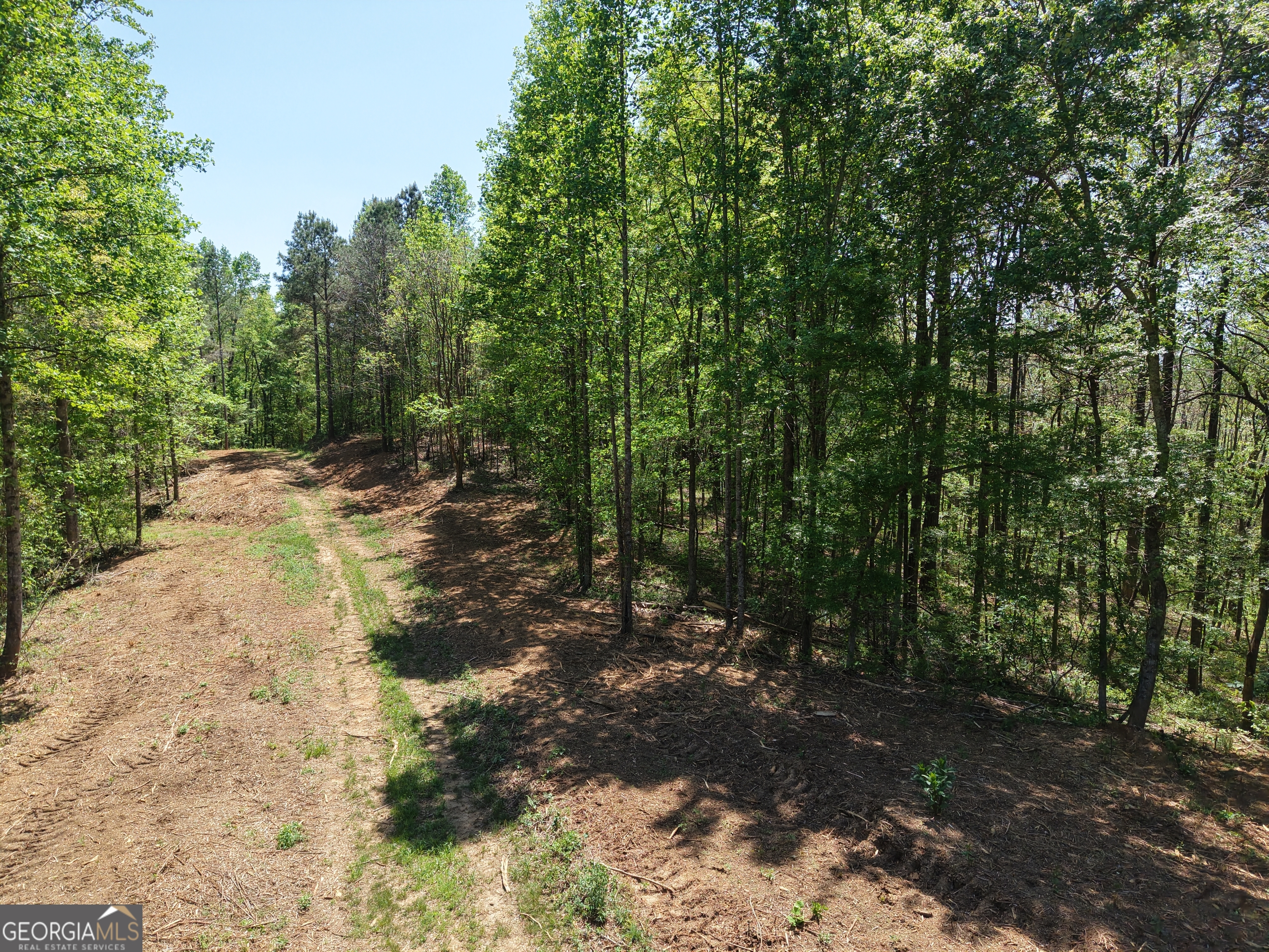 0 Ryo Mountain Road, Unit 9609 Fairmount, GA 30139 - Photo 83 of 87 a view of a tree with a yard