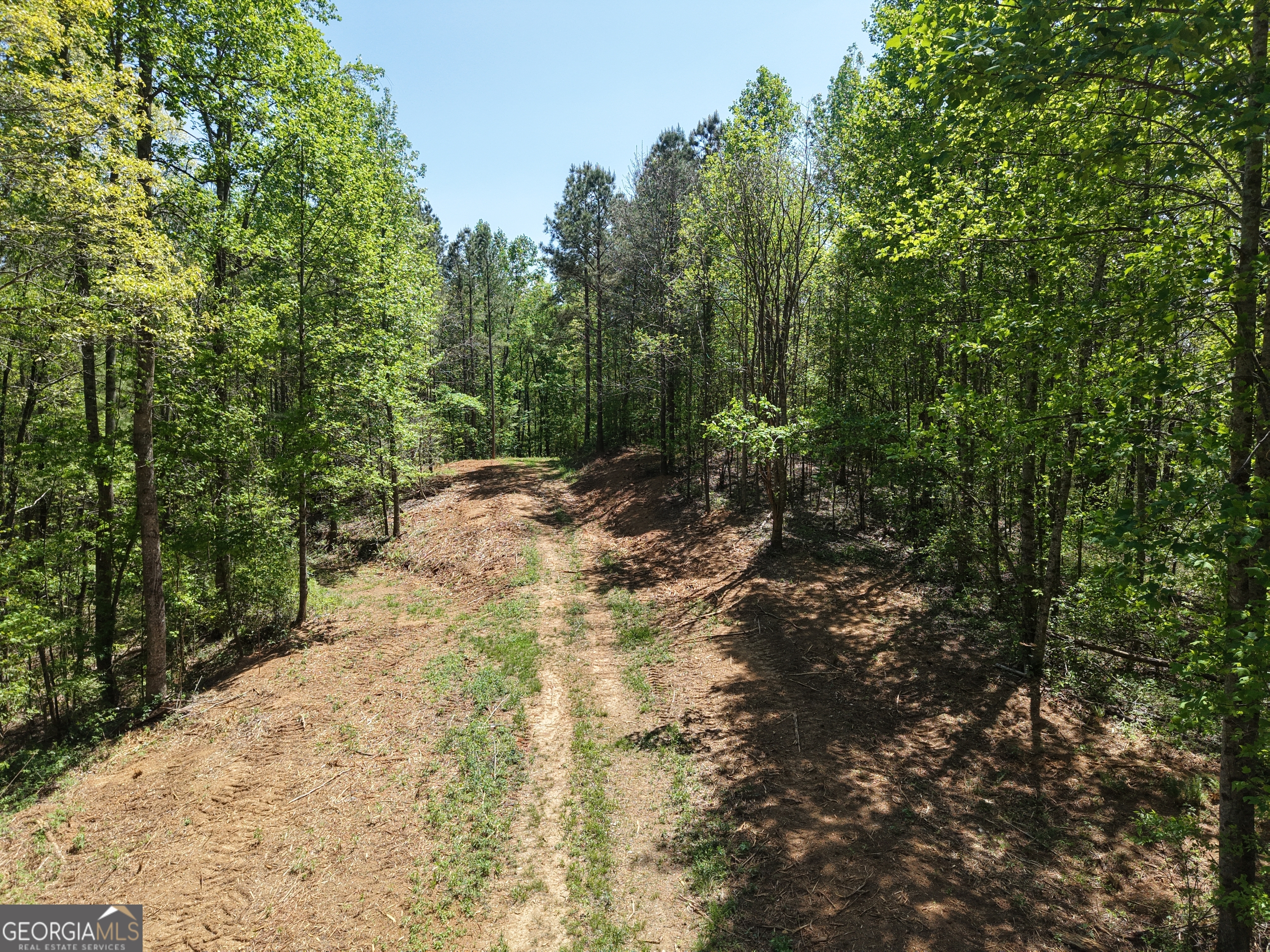 0 Ryo Mountain Road, Unit 9609 Fairmount, GA 30139 - Photo 84 of 87 a view of a yard with plants and trees