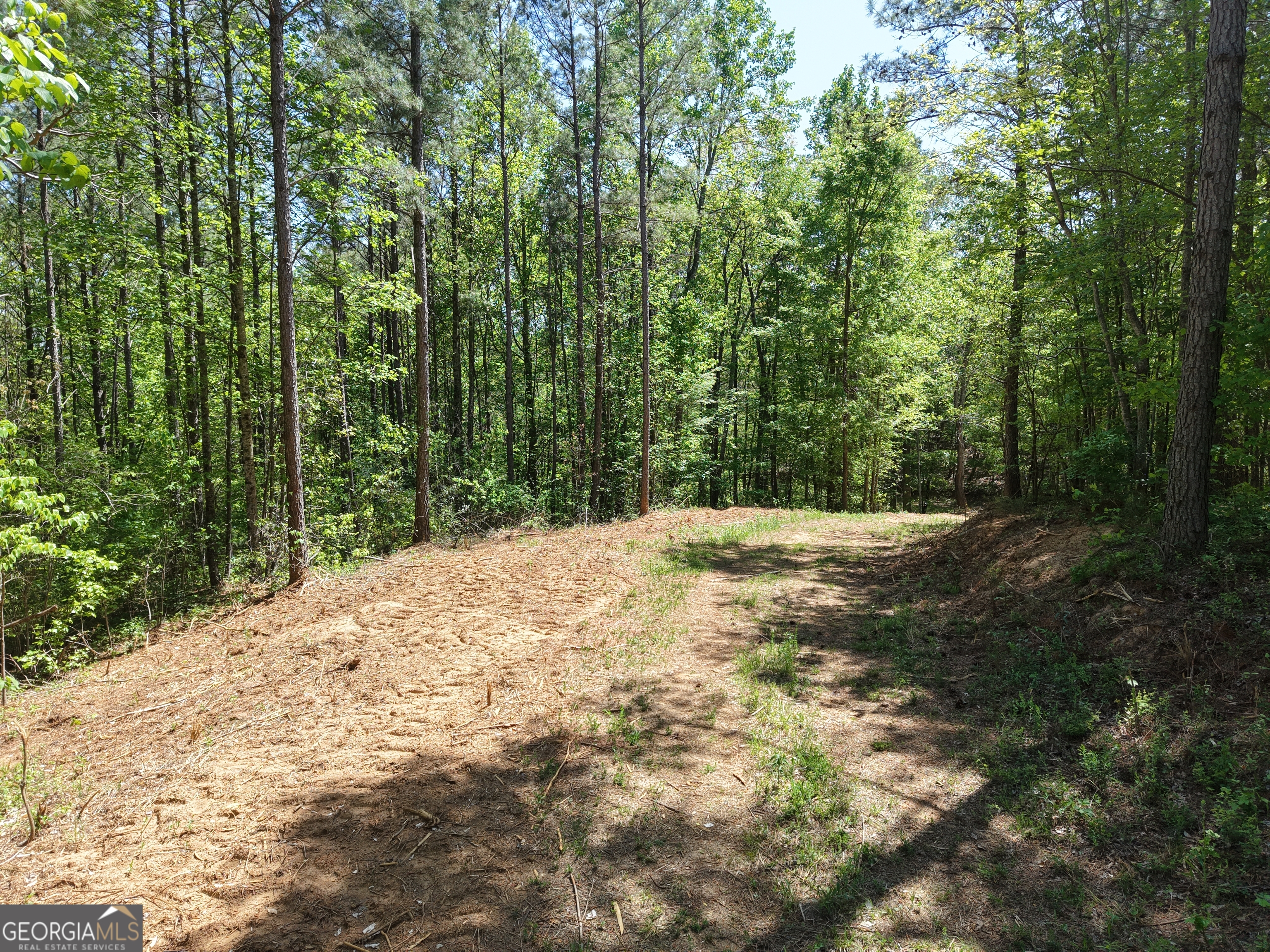 0 Ryo Mountain Road, Unit 9609 Fairmount, GA 30139 - Photo 86 of 87