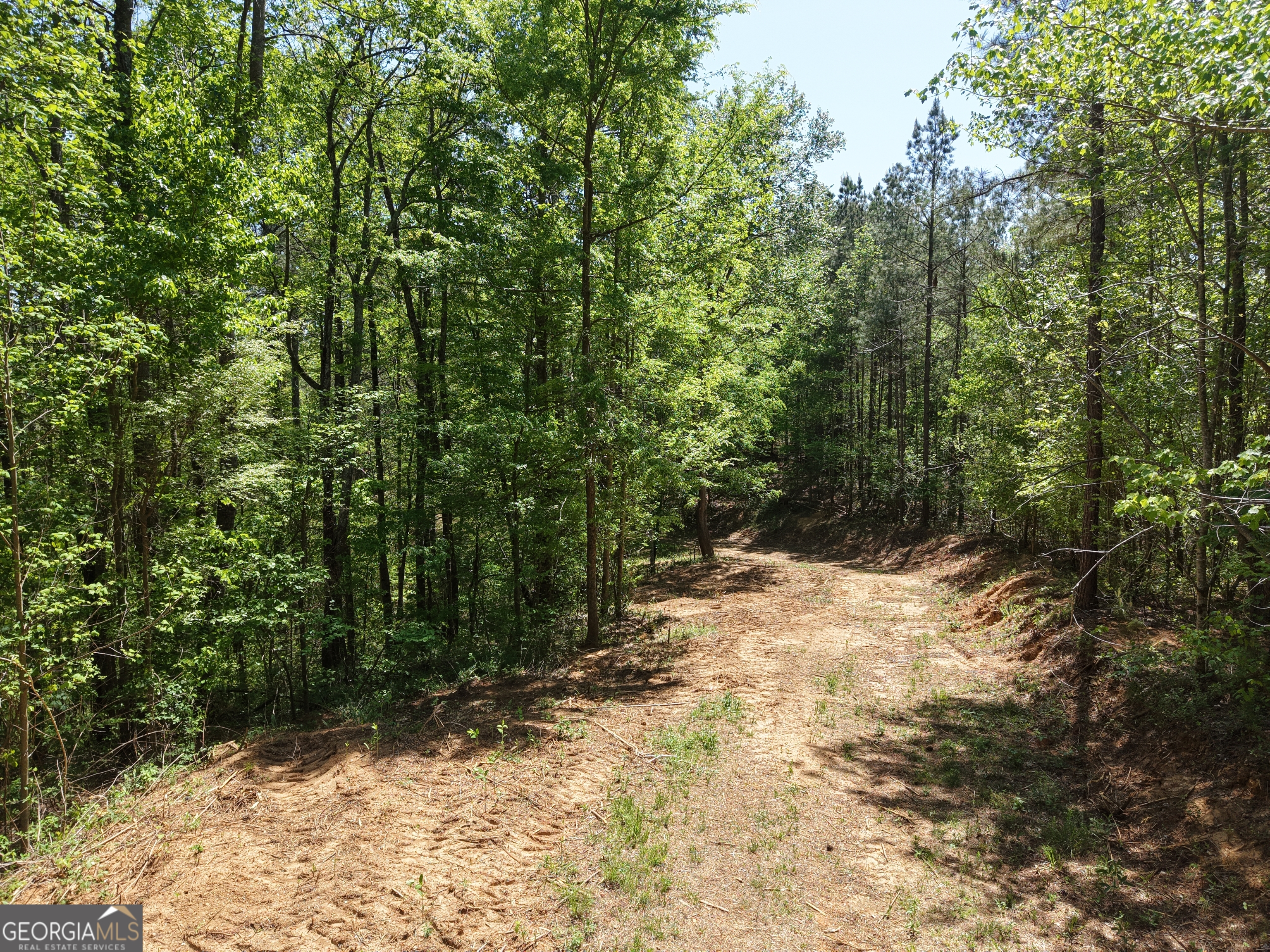 0 Ryo Mountain Road, Unit 9609 Fairmount, GA 30139 - Photo 87 of 87 a view of a yard with plants and trees