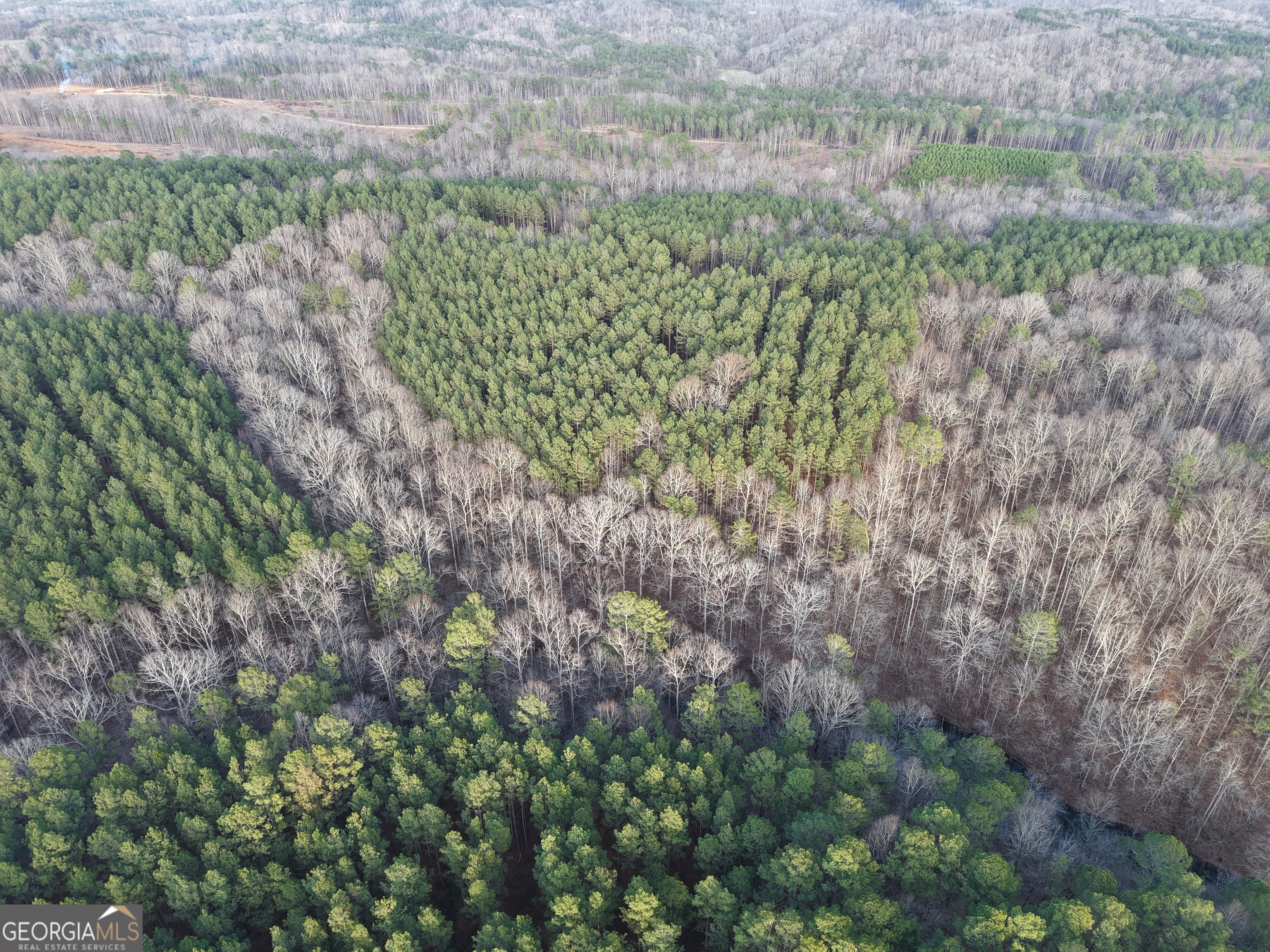 0 Ryo Mountain Road, Unit 9609 Fairmount, GA 30139 - Photo 9 of 33 a view of a garden with plants and flowers
